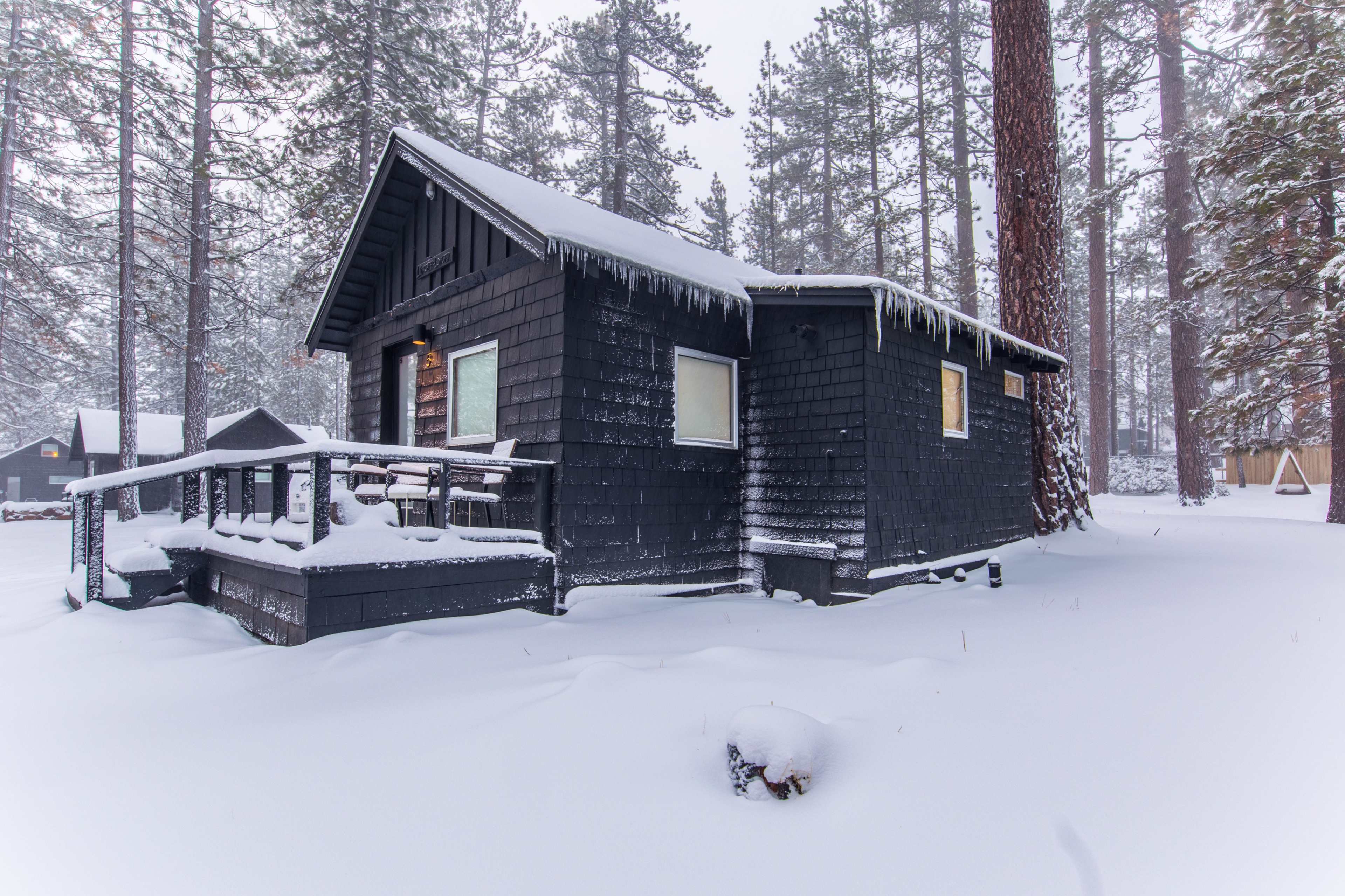 A black cabin is surrounded by a snowy landscape with tall pine trees in a winter setting.