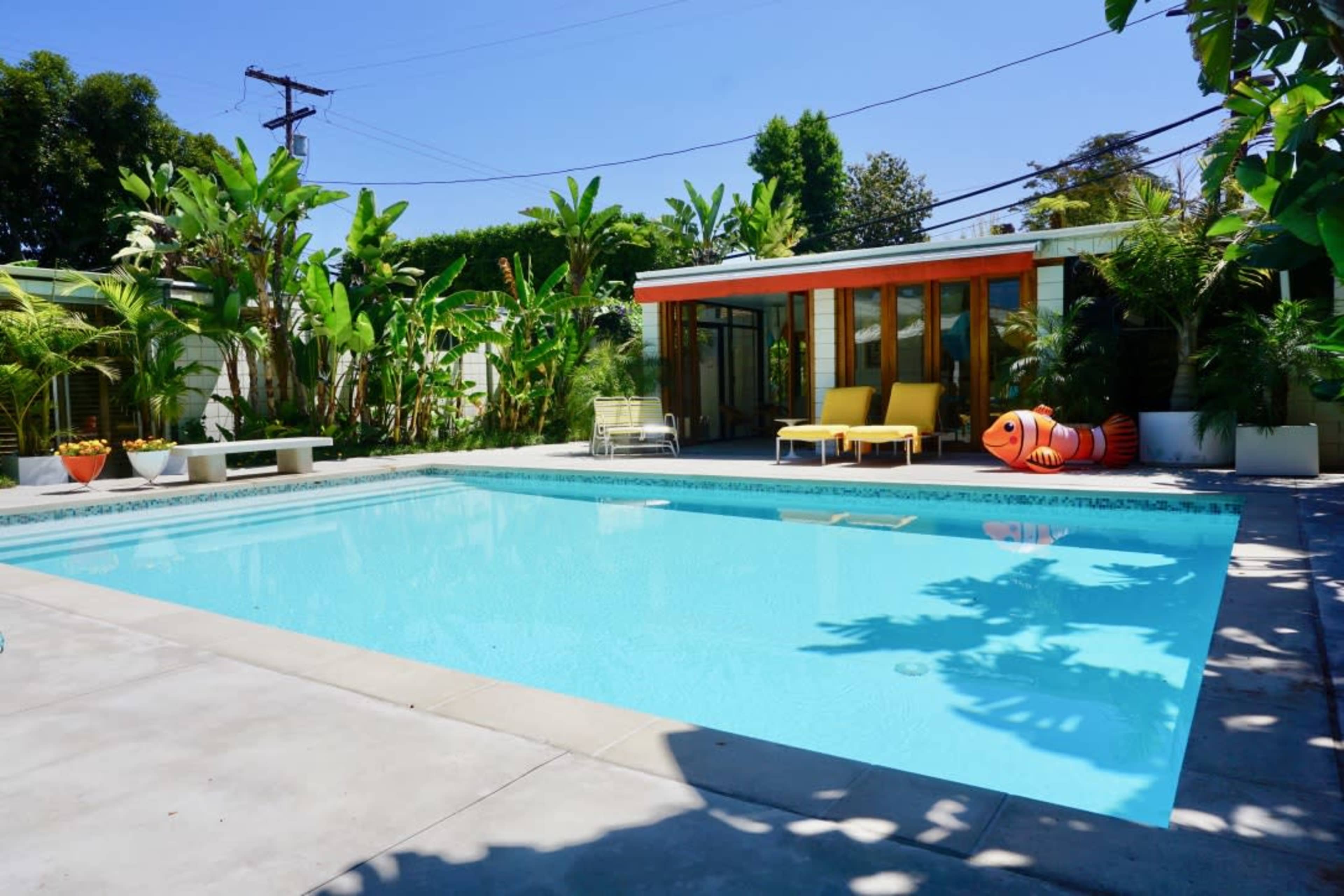 A rectangular swimming pool is surrounded by tropical plants and a modern building featuring large glass windows.