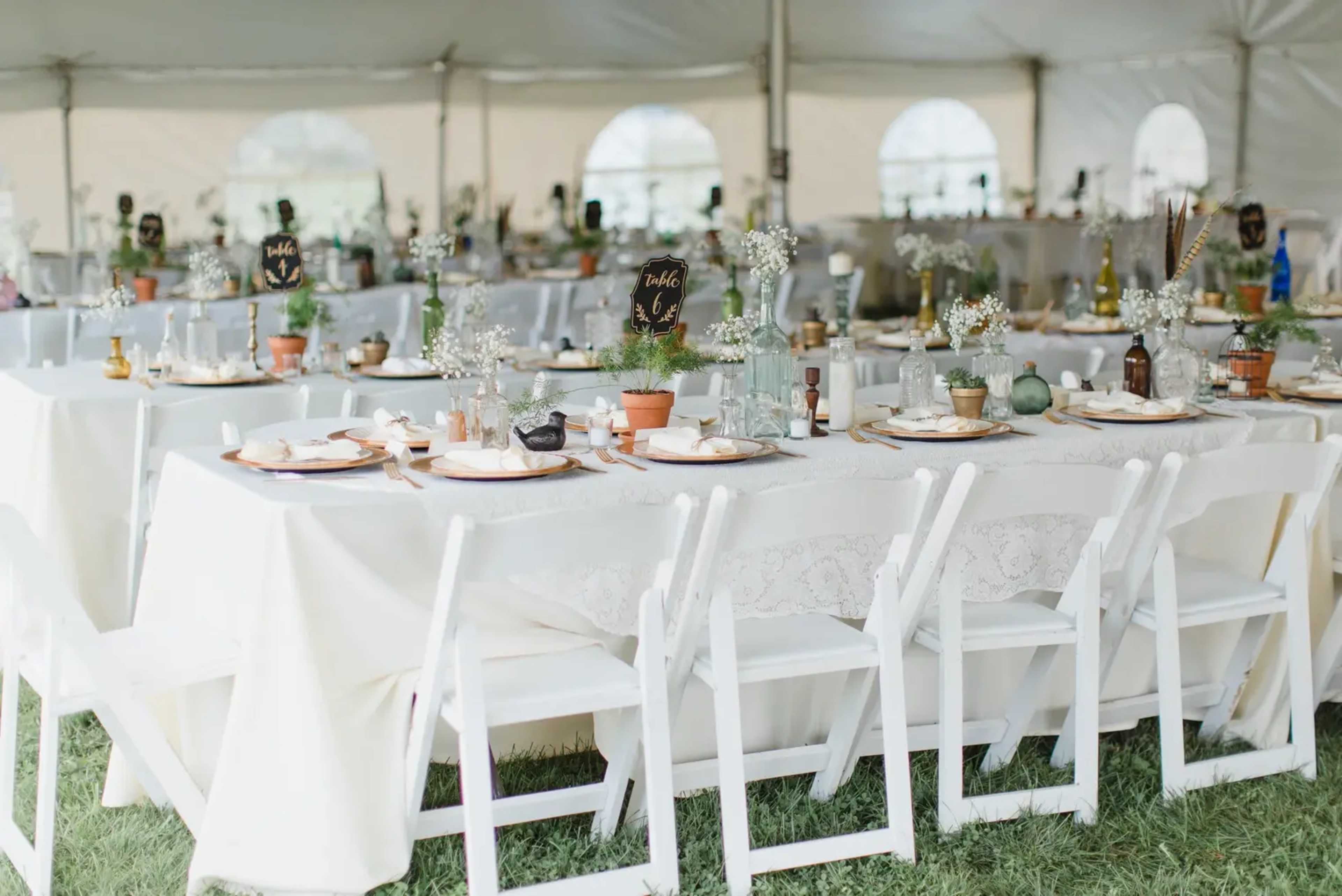 A tented setting features long dining tables adorned with white tablecloths, centerpieces of small potted plants, and decorative glassware, ready for an event.