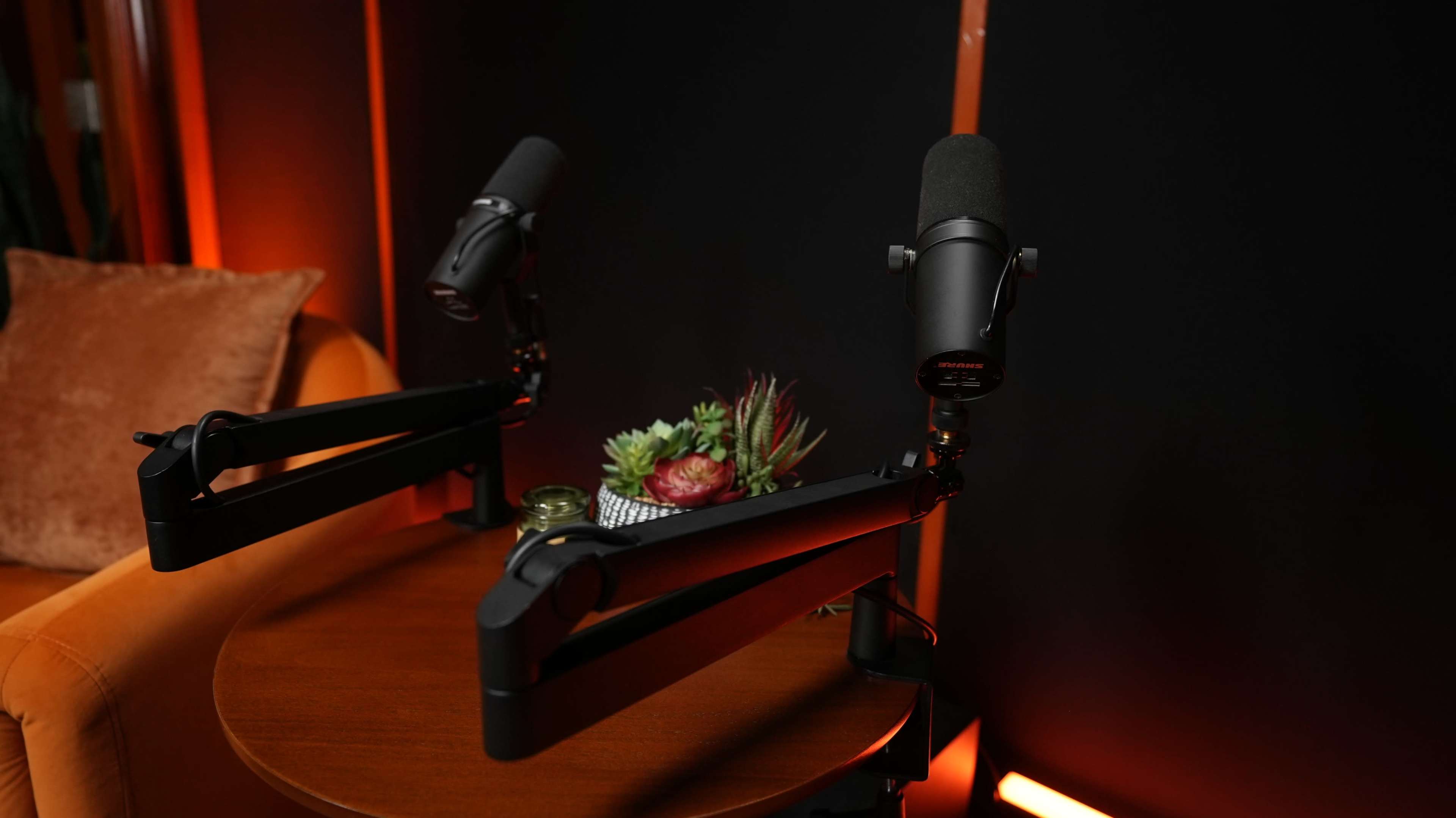 The image shows two microphones mounted on adjustable arms positioned above a wooden table with a small arrangement of succulents.