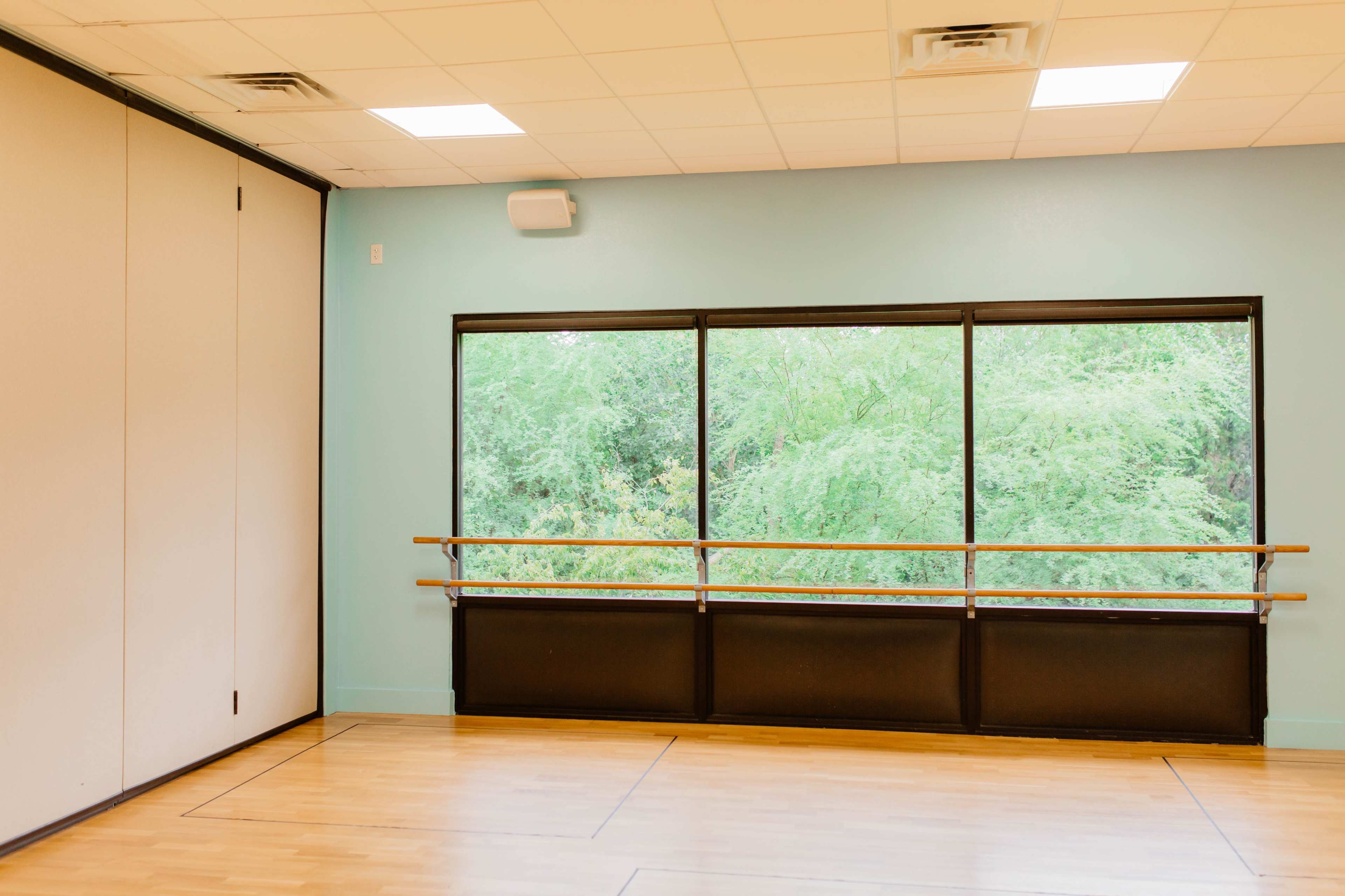 A dance studio with light-colored wood flooring and large windows overlooking a green outdoor space.