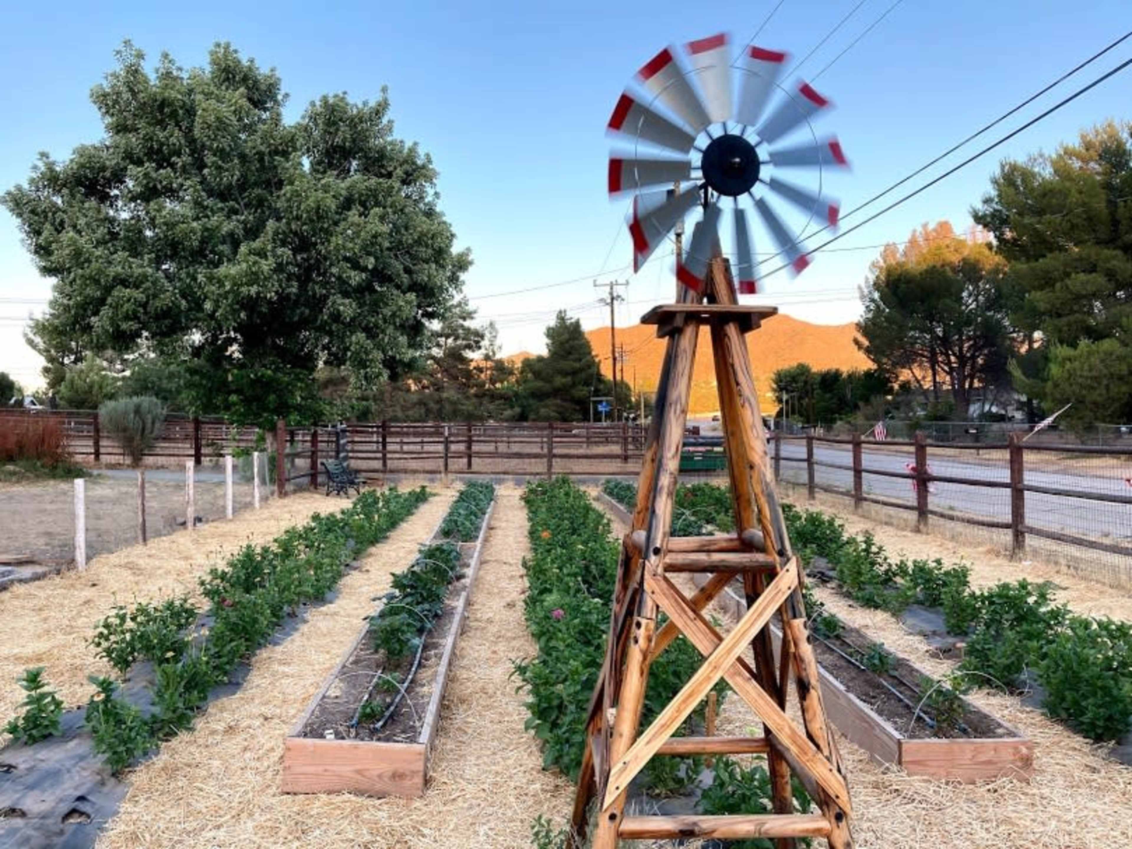 A wooden windmill stands in the center of a vegetable garden with rows of plants and a backdrop of trees and mountains under a clear sky.