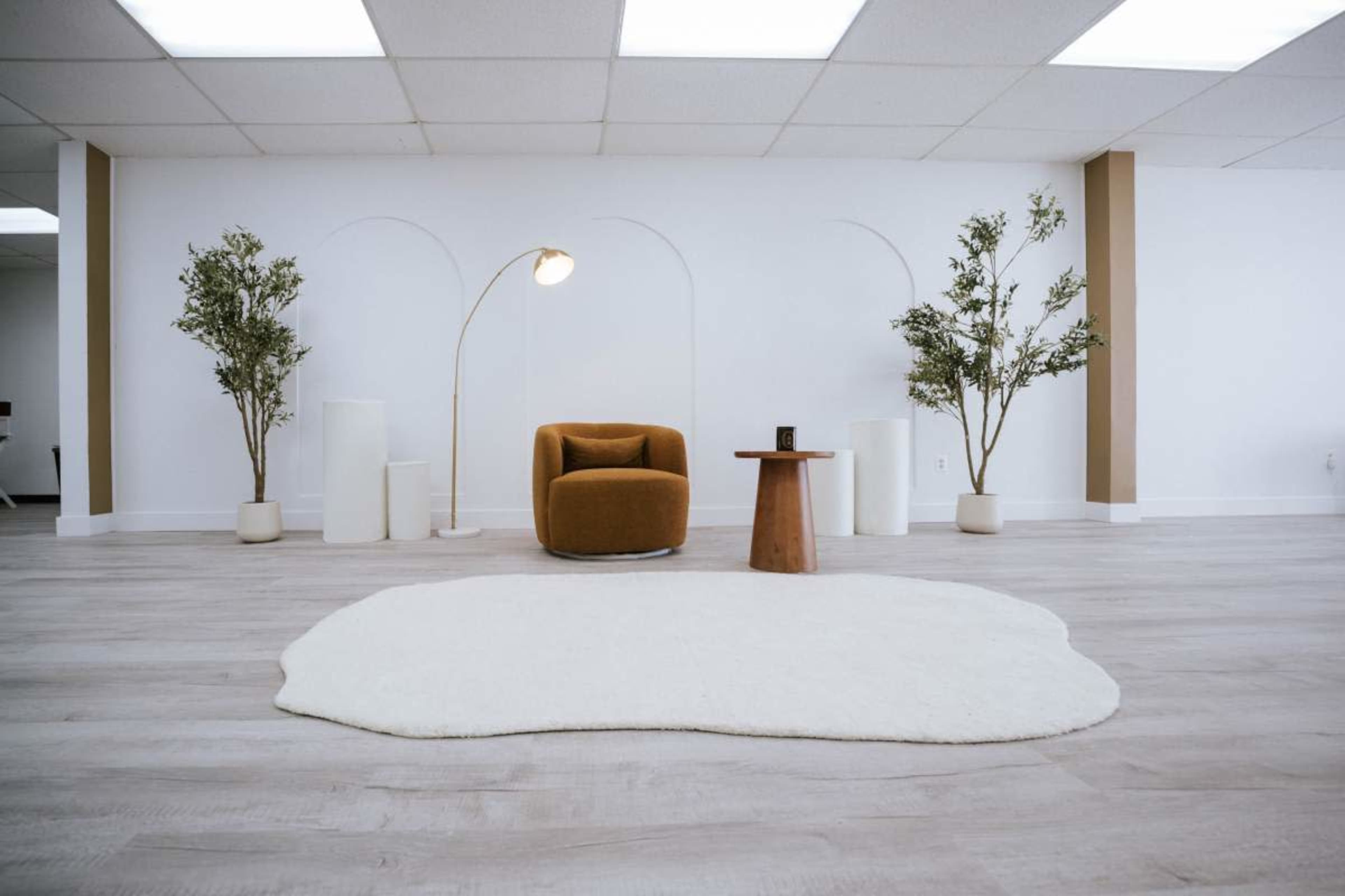 The image shows a minimalist interior space featuring a brown armchair, a wooden side table, a cream-colored rug, and three plants flanking two cylindrical white structures against a white wall.