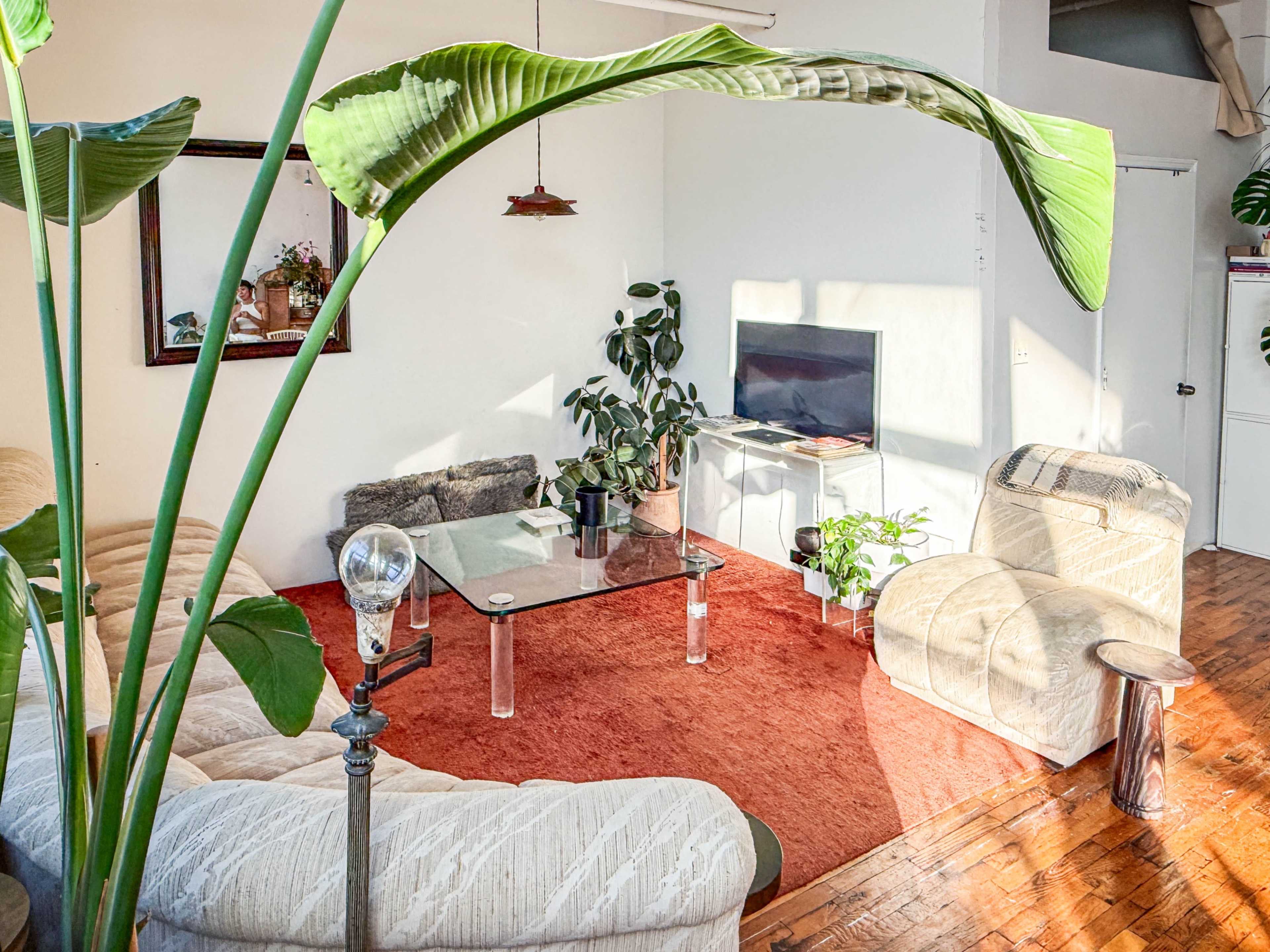 A cozy living room features a curved sofa, a glass coffee table, a TV, and indoor plants, all arranged on a textured orange rug.