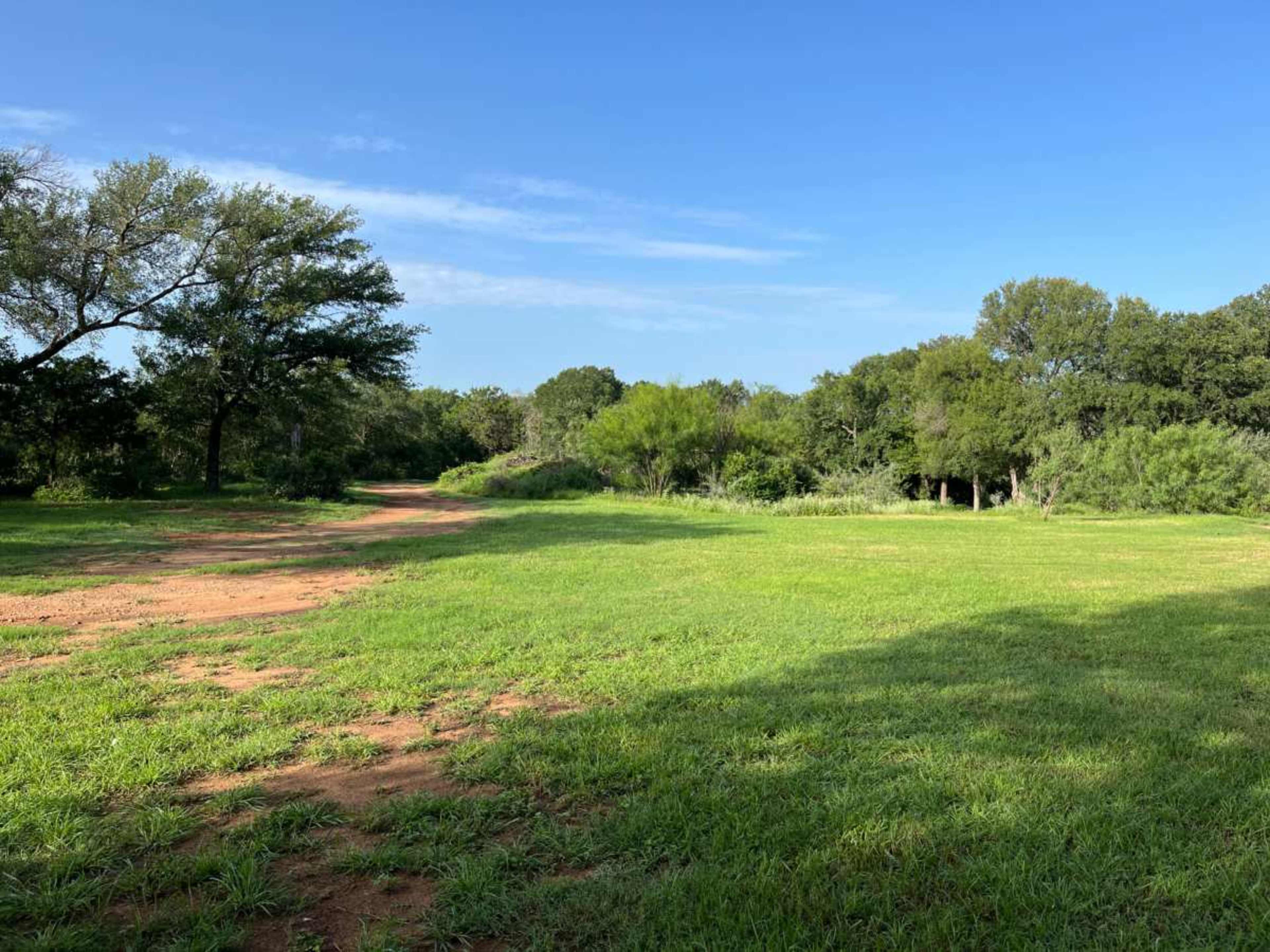 A dirt path winds through a grassy field bordered by trees and underbrush under a clear blue sky.
