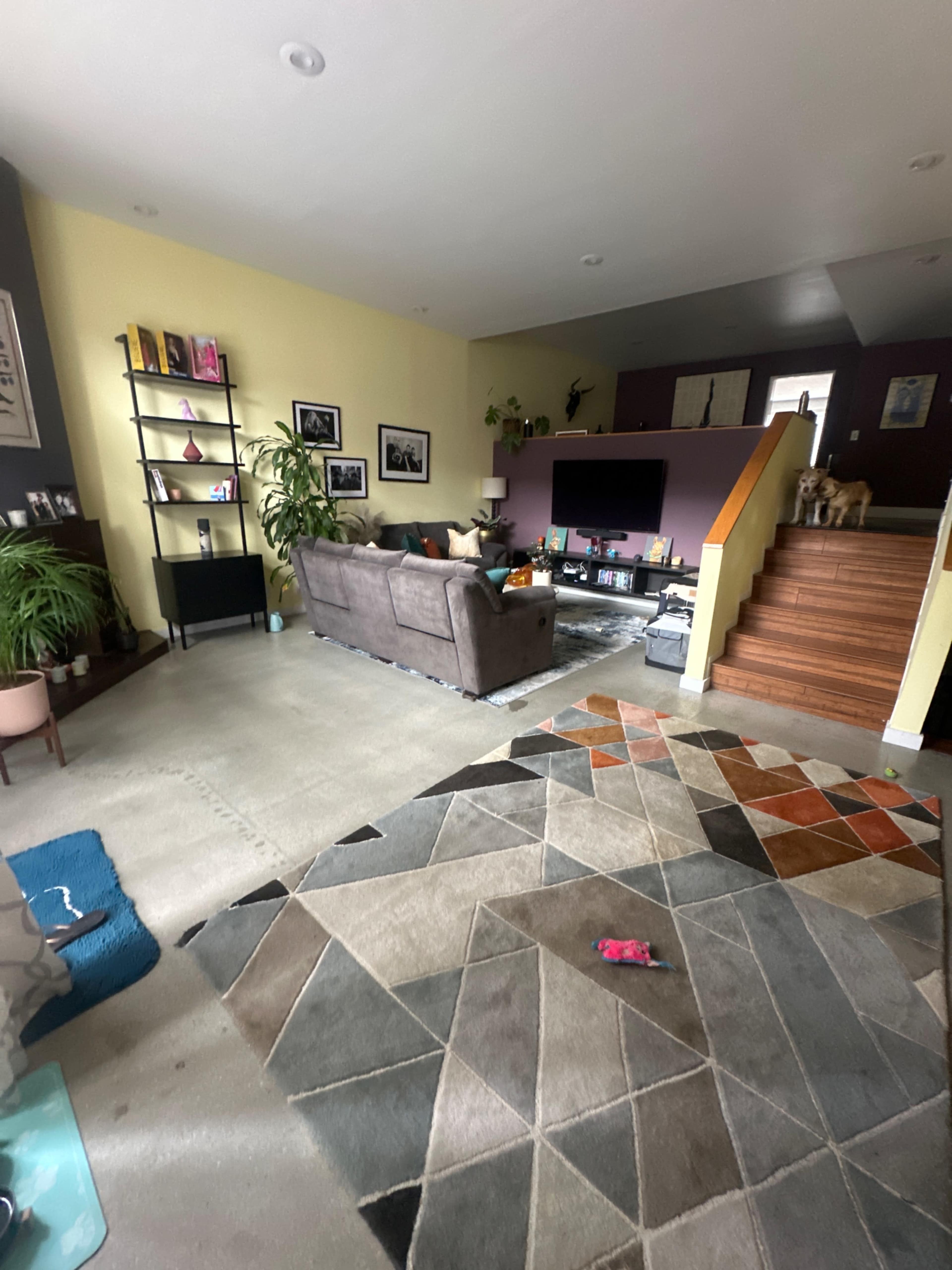 The image shows a living room with a gray couch, a colorful rug, a staircase leading to an upper level, and various plants and decorative items.