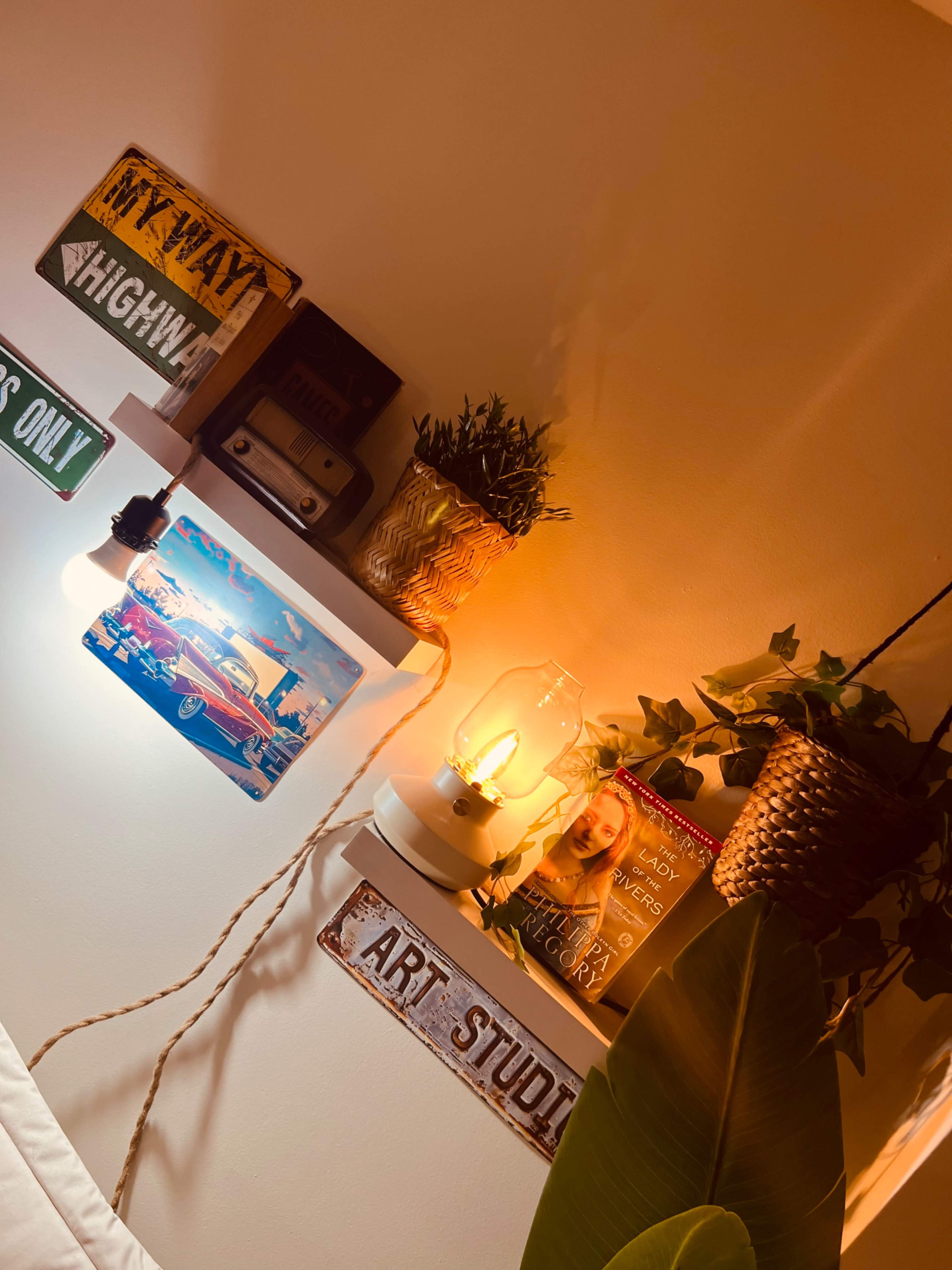 The image shows a cozy wall display featuring shelves with decorative items, including a vintage lamp, potted plants, and wall art.