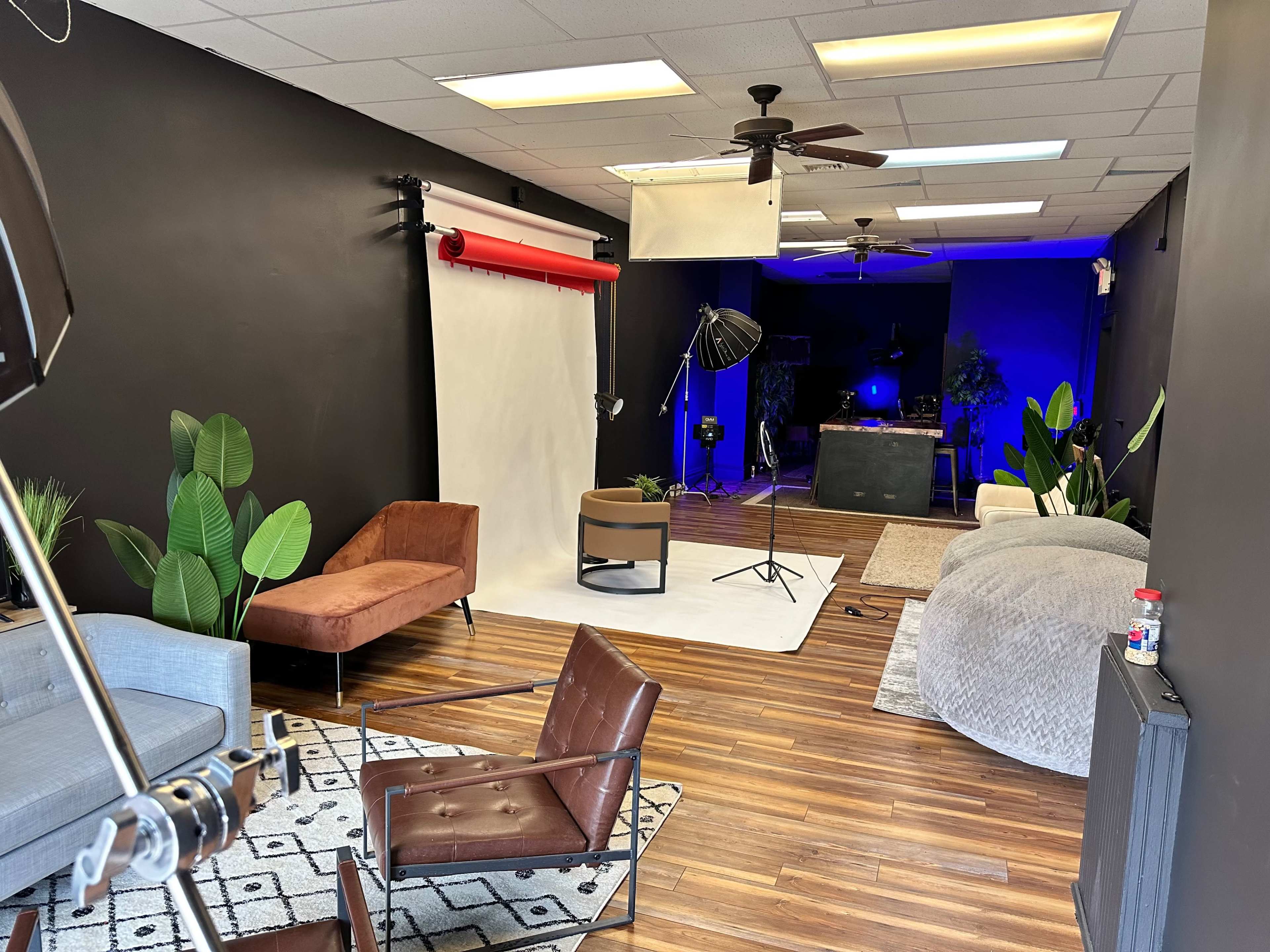 A photography studio featuring various seating options, backdrops, and lighting equipment, with a mix of greenery and a blue accent wall.
