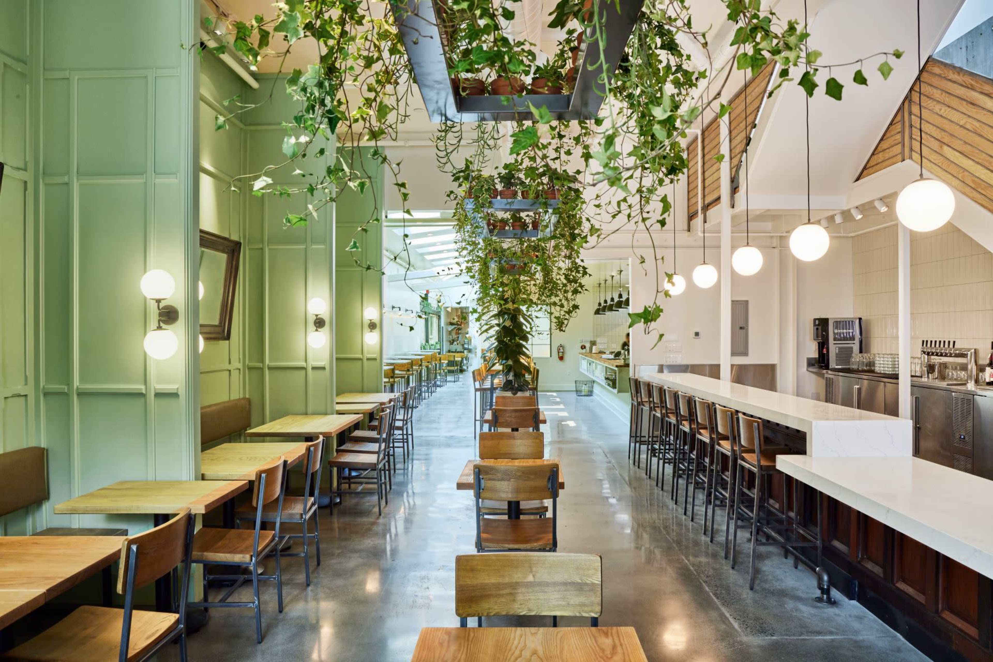 The image depicts a modern café interior featuring wooden tables, chairs, and a long counter, accented by hanging plants and circular pendant lights.