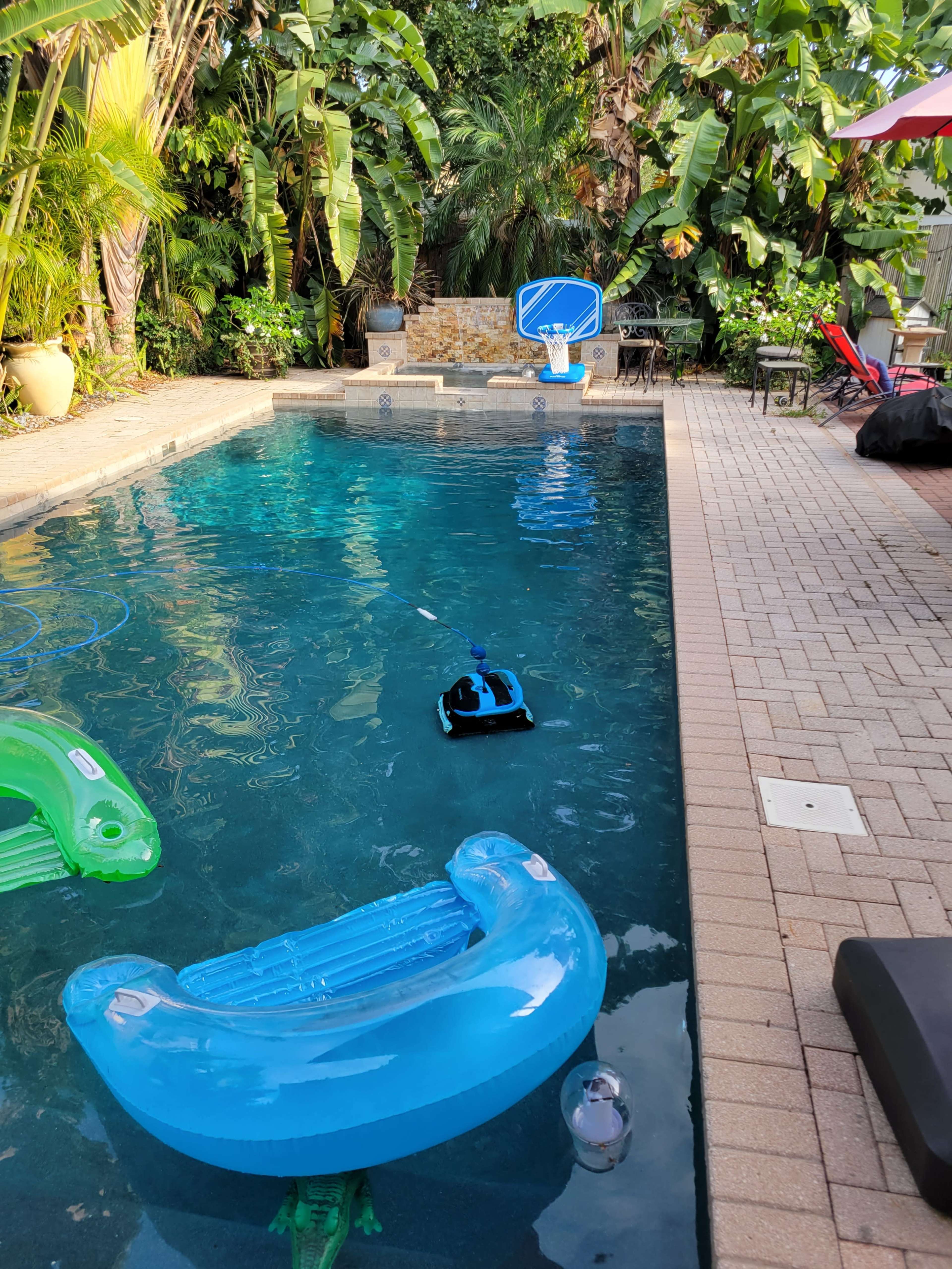 The image shows a swimming pool surrounded by tropical plants, featuring several inflatable mattresses and a small basketball hoop at the edge.
