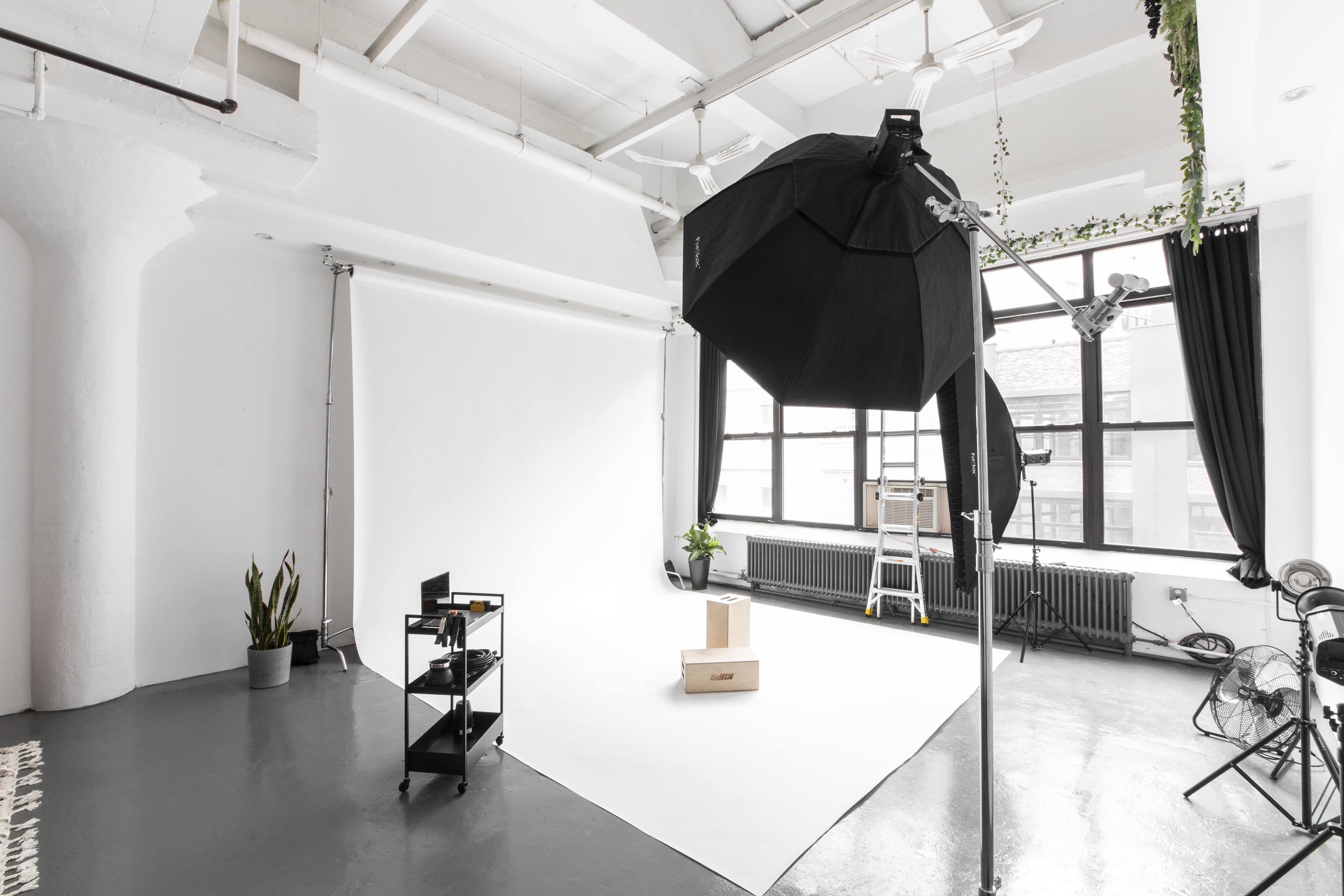 A photography studio featuring a plain white backdrop, a lighting setup with an umbrella, a plant, and a cart with equipment.