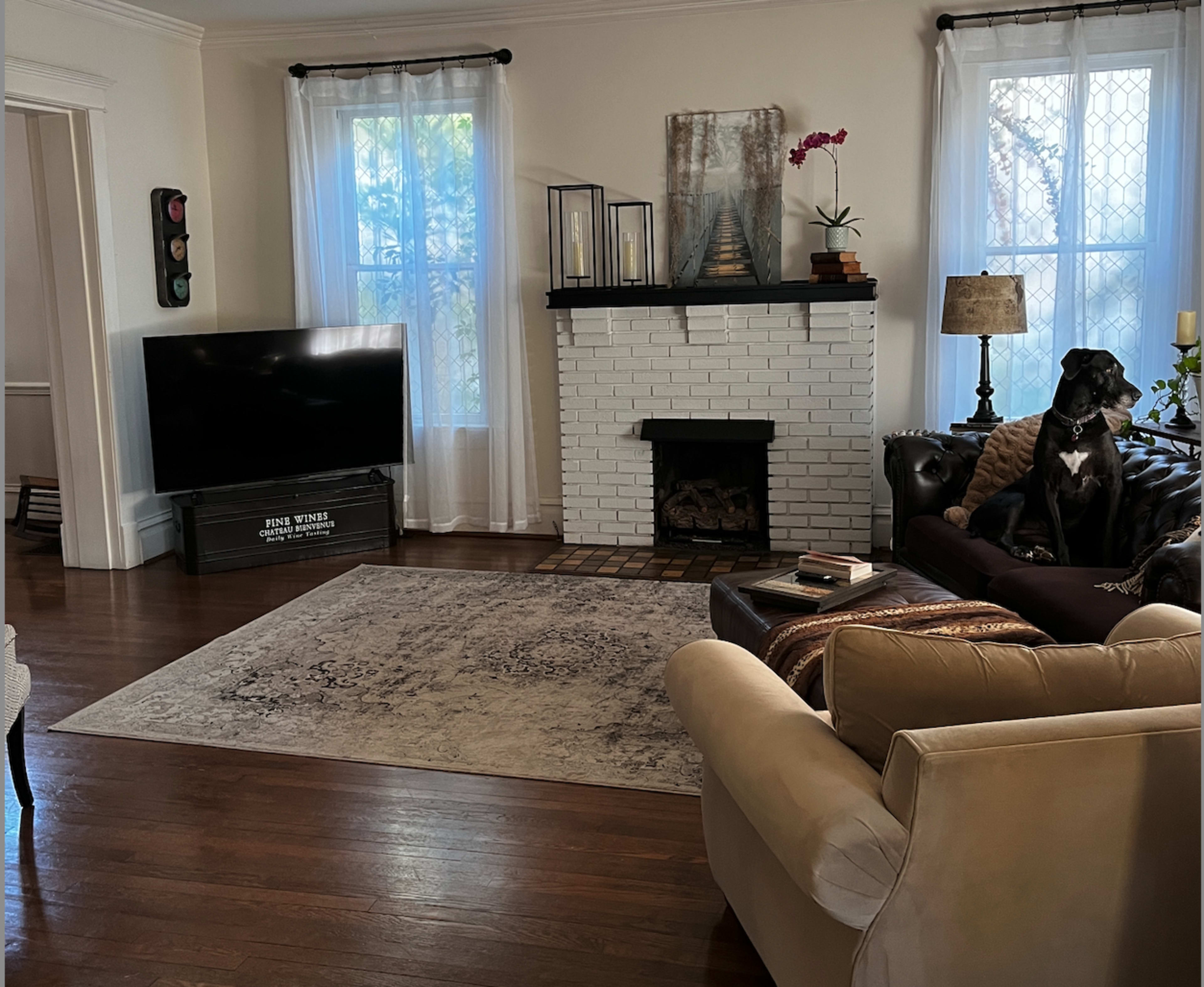 Stunning Greek Revival with Gorgeous Park View Image in Glen Iris, Birmingham, AL