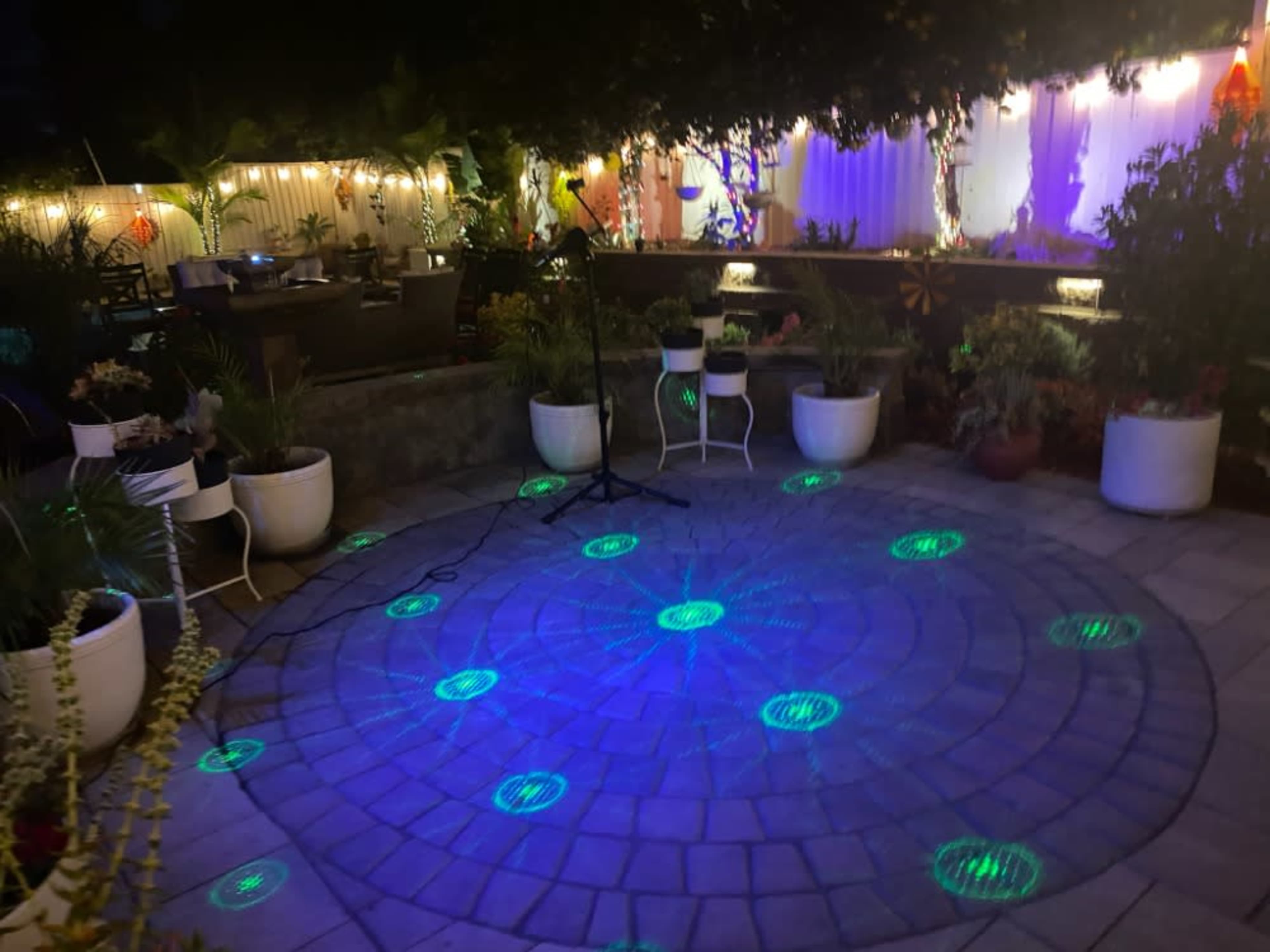 Disco Lights - Rental Only