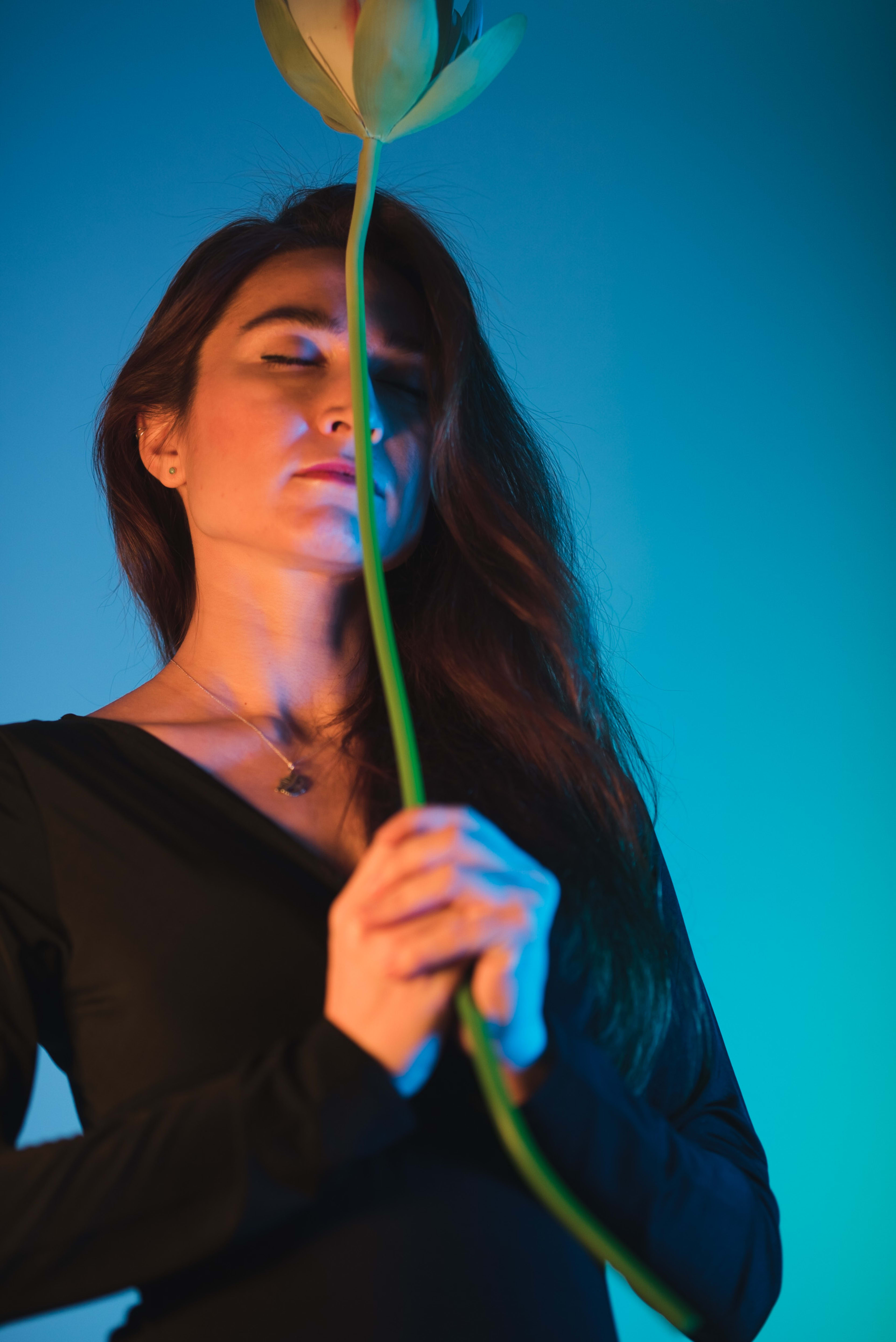 A minimalist portrait of a woman holding a flower.