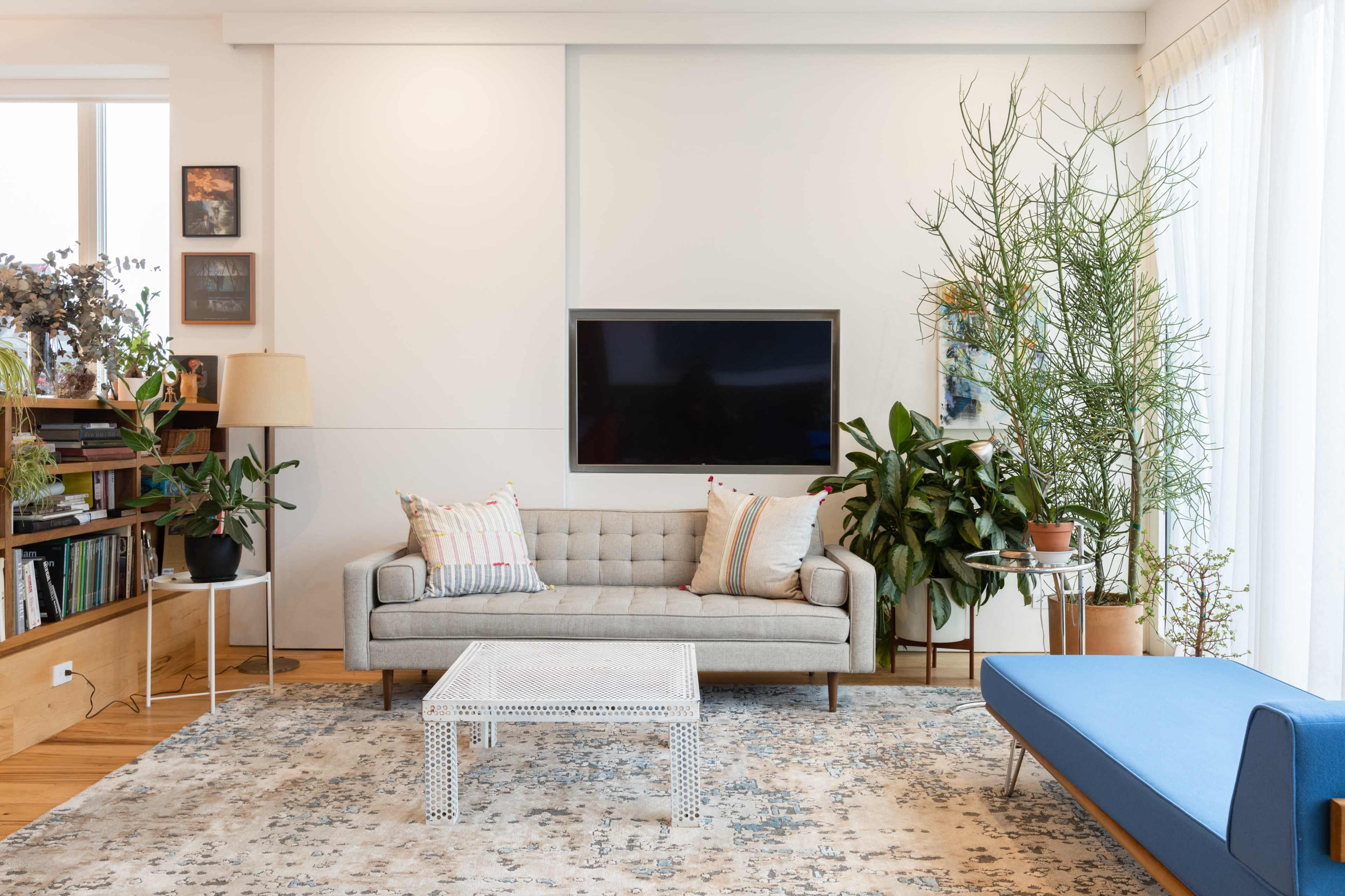 A modern living room features a gray sofa, a blue chaise lounge, a coffee table, and various plants, with a television mounted on the wall and a bookshelf nearby.