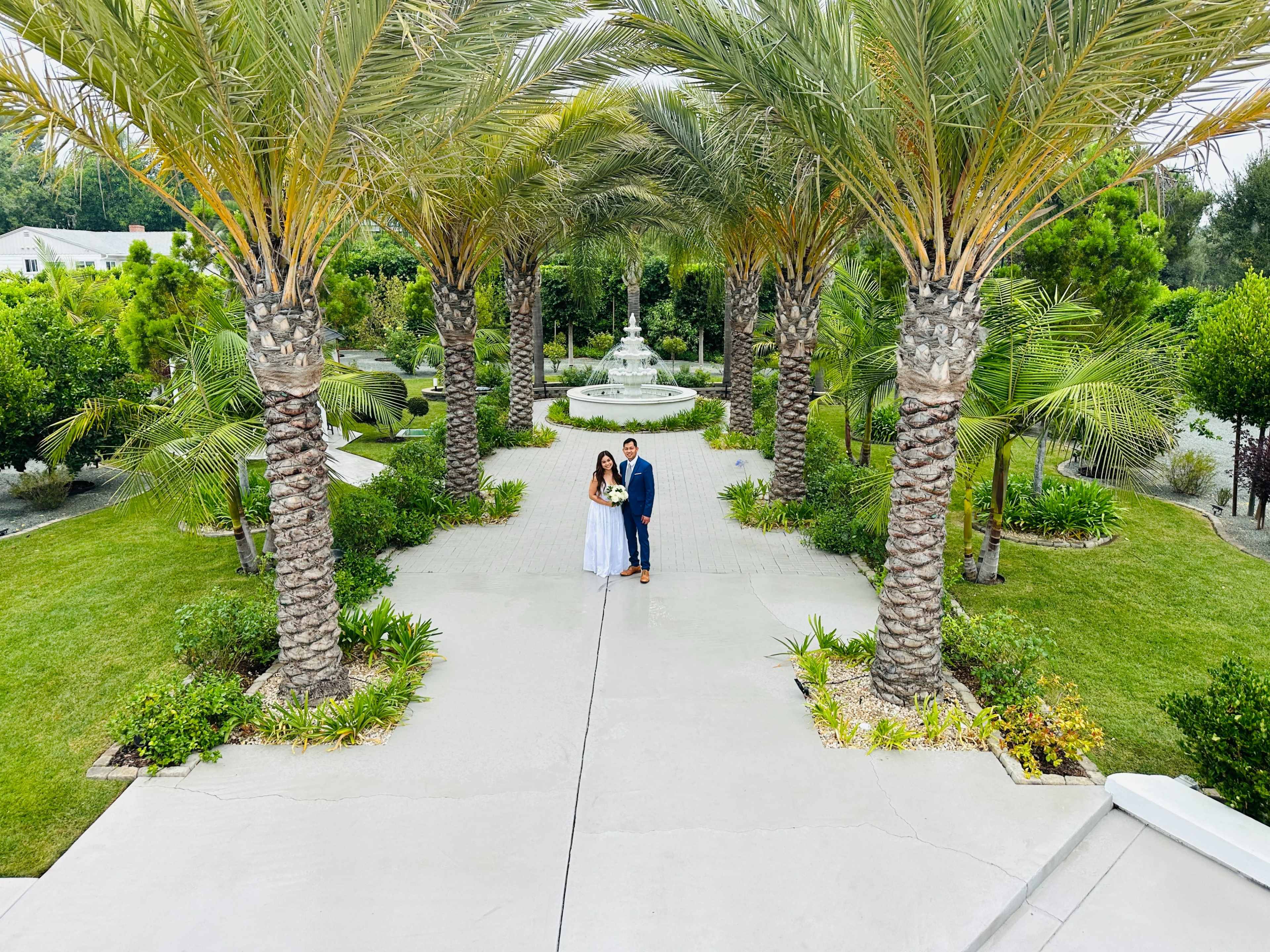 A couple stands together on a wide pathway surrounded by tall palm trees and lush green landscaping in a garden setting.