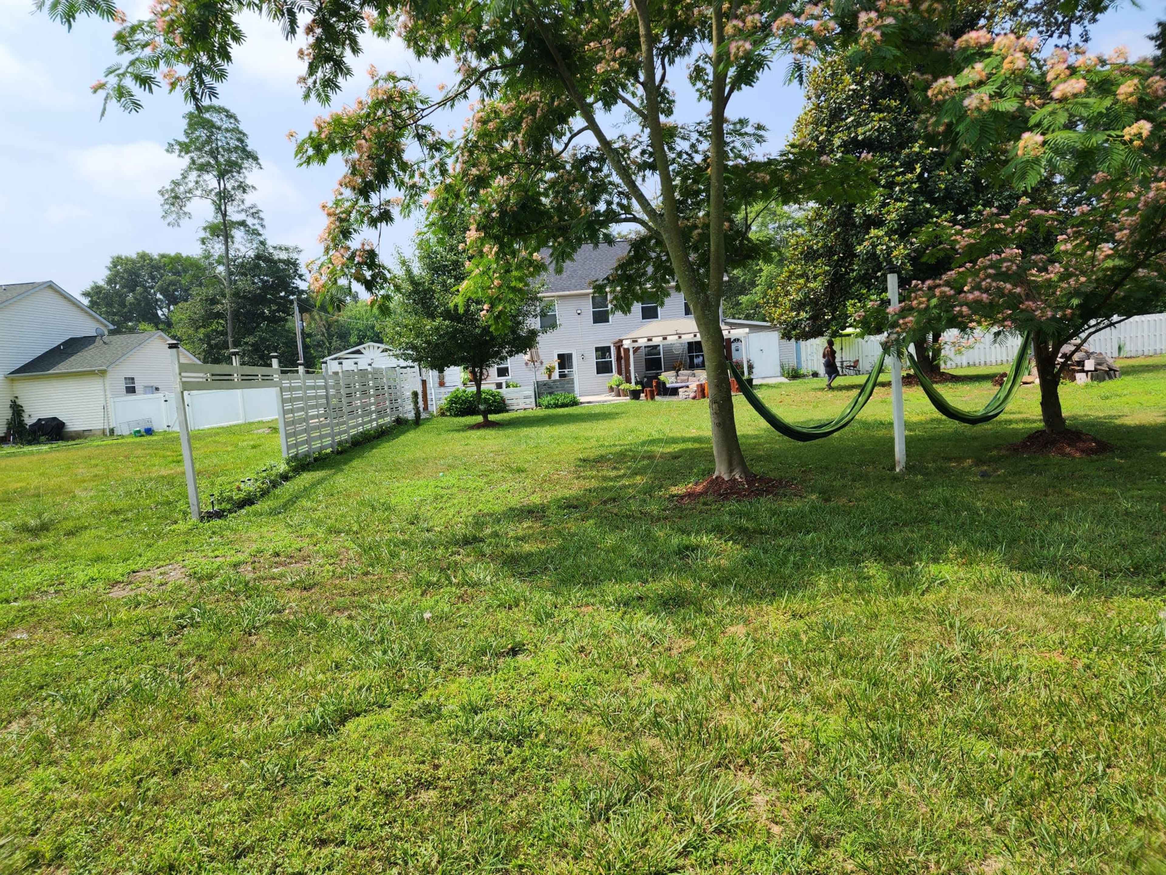 A grassy yard with two trees, a hammock hanging between them, and a house visible in the background.