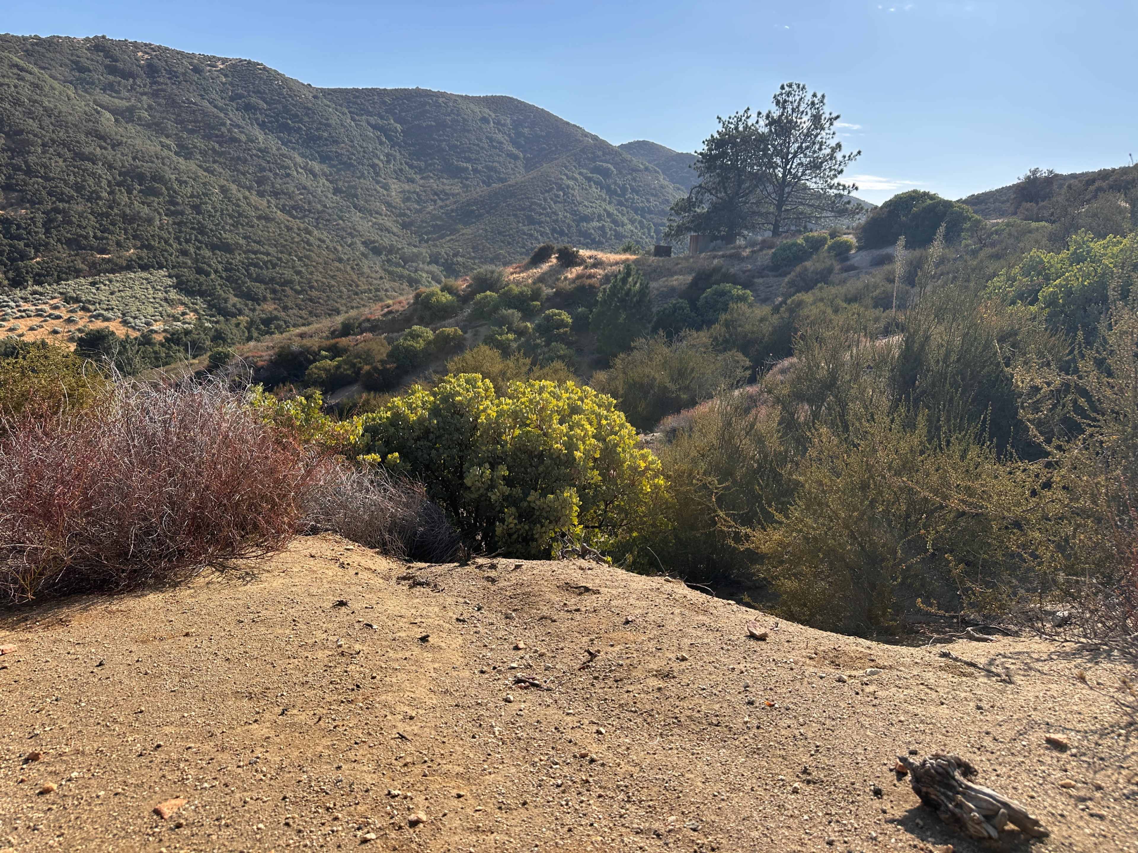 The image depicts a hilly landscape with lush green vegetation and sparse bushes under a clear blue sky.