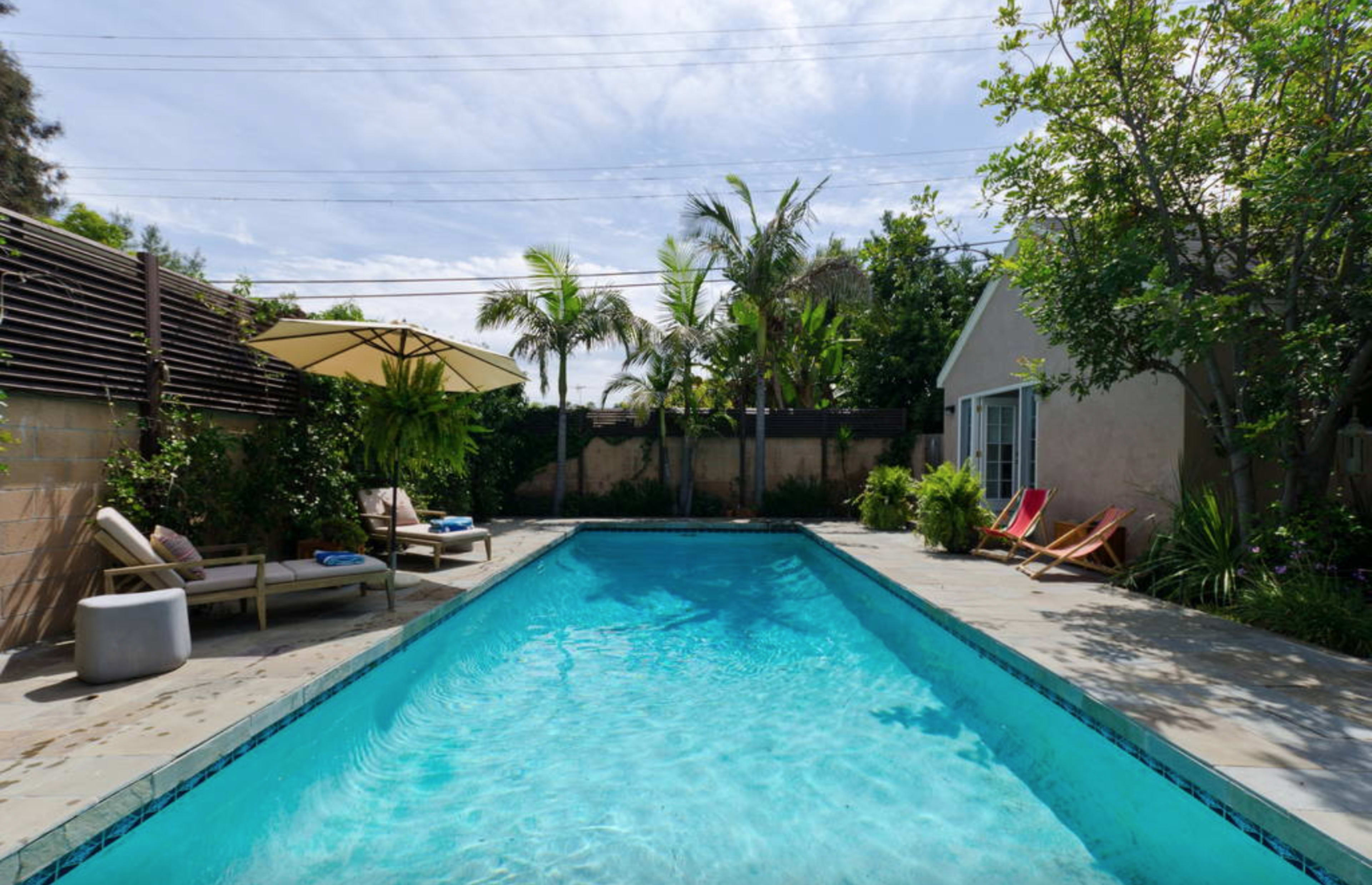 The image shows a rectangular swimming pool surrounded by sun loungers and tropical plants in a backyard setting.