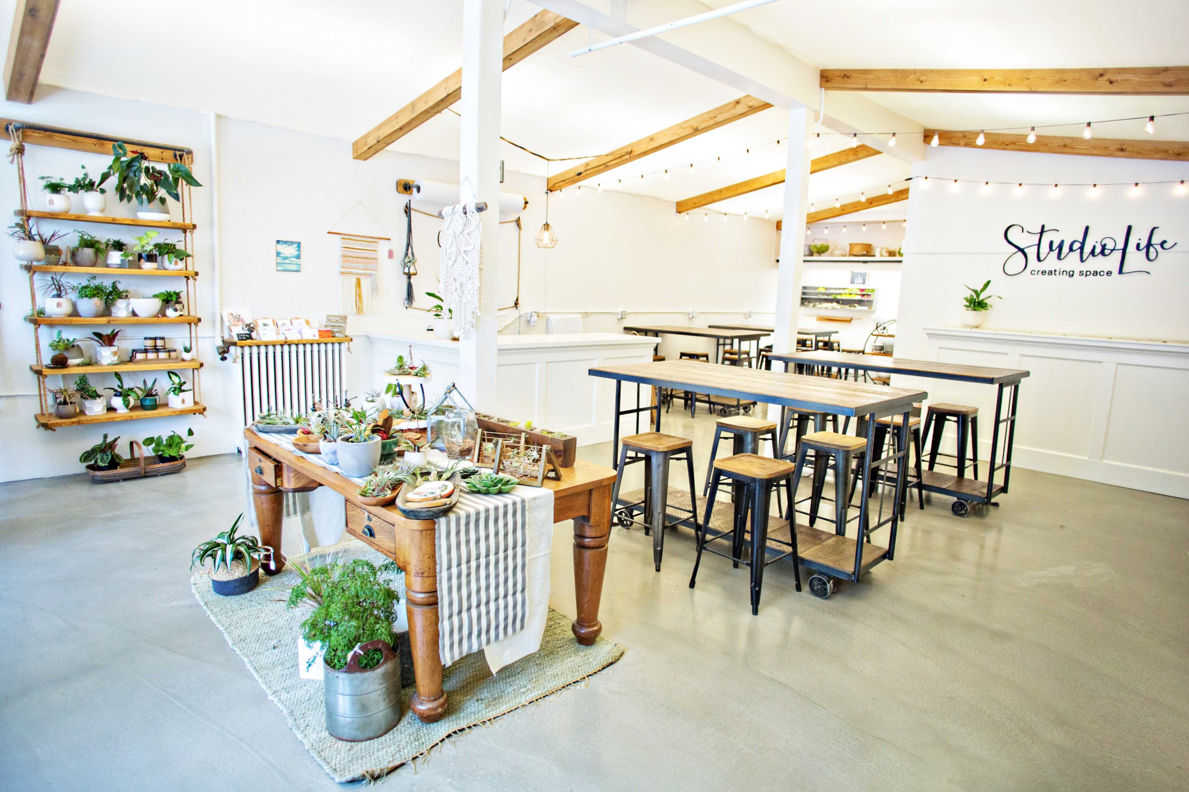 A bright, modern workspace with a wooden table, metal stools, and shelves lined with plants.