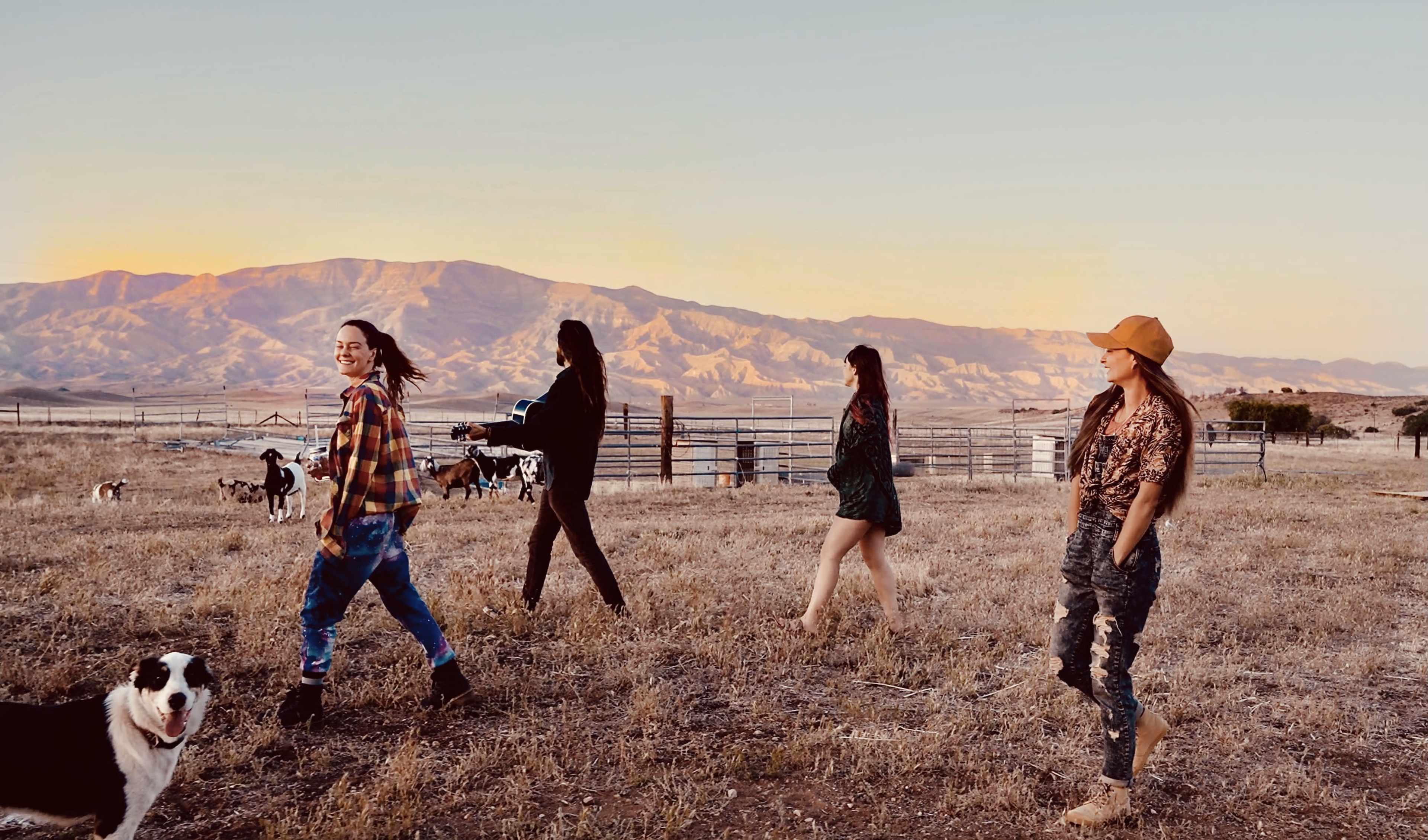 A group of four individuals walks across a grassy field with mountains in the background during sunset, accompanied by dogs.