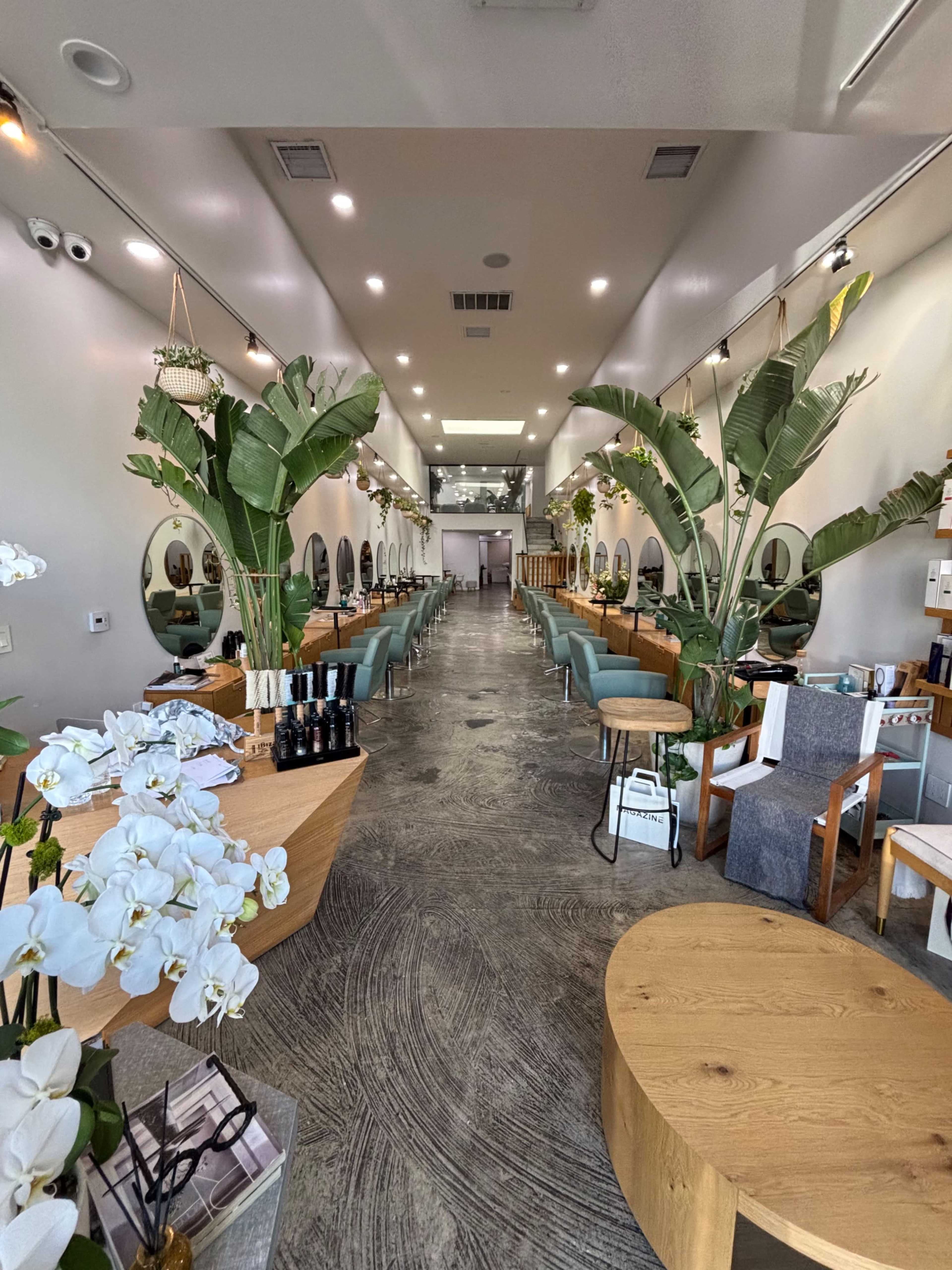 The image shows a modern salon interior with rows of styling chairs and mirrors, featuring large potted plants and elegant wooden furniture.