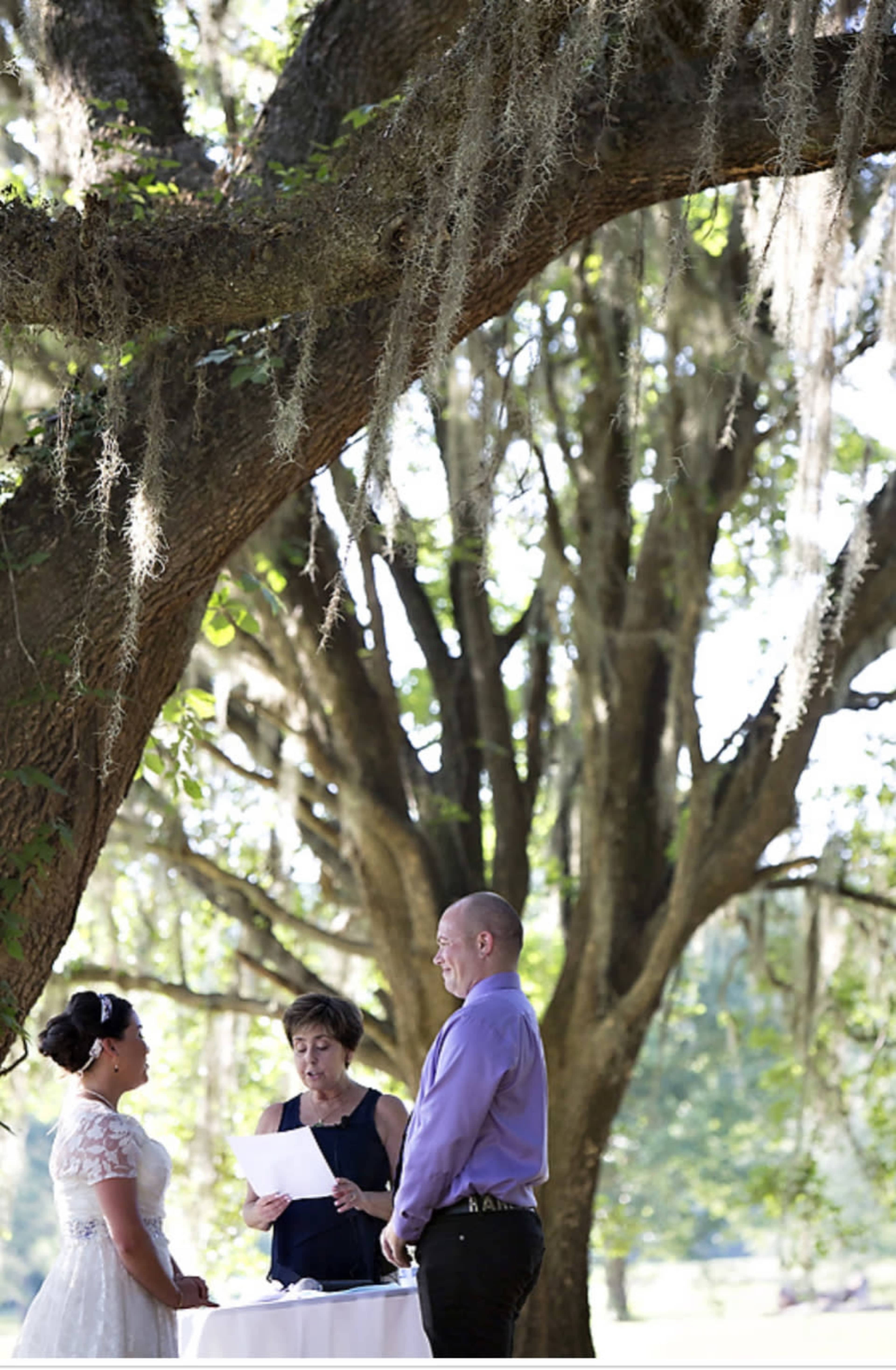A couple stands beneath a large tree adorned with Spanish moss while a officiant reads from a paper during a wedding ceremony.
