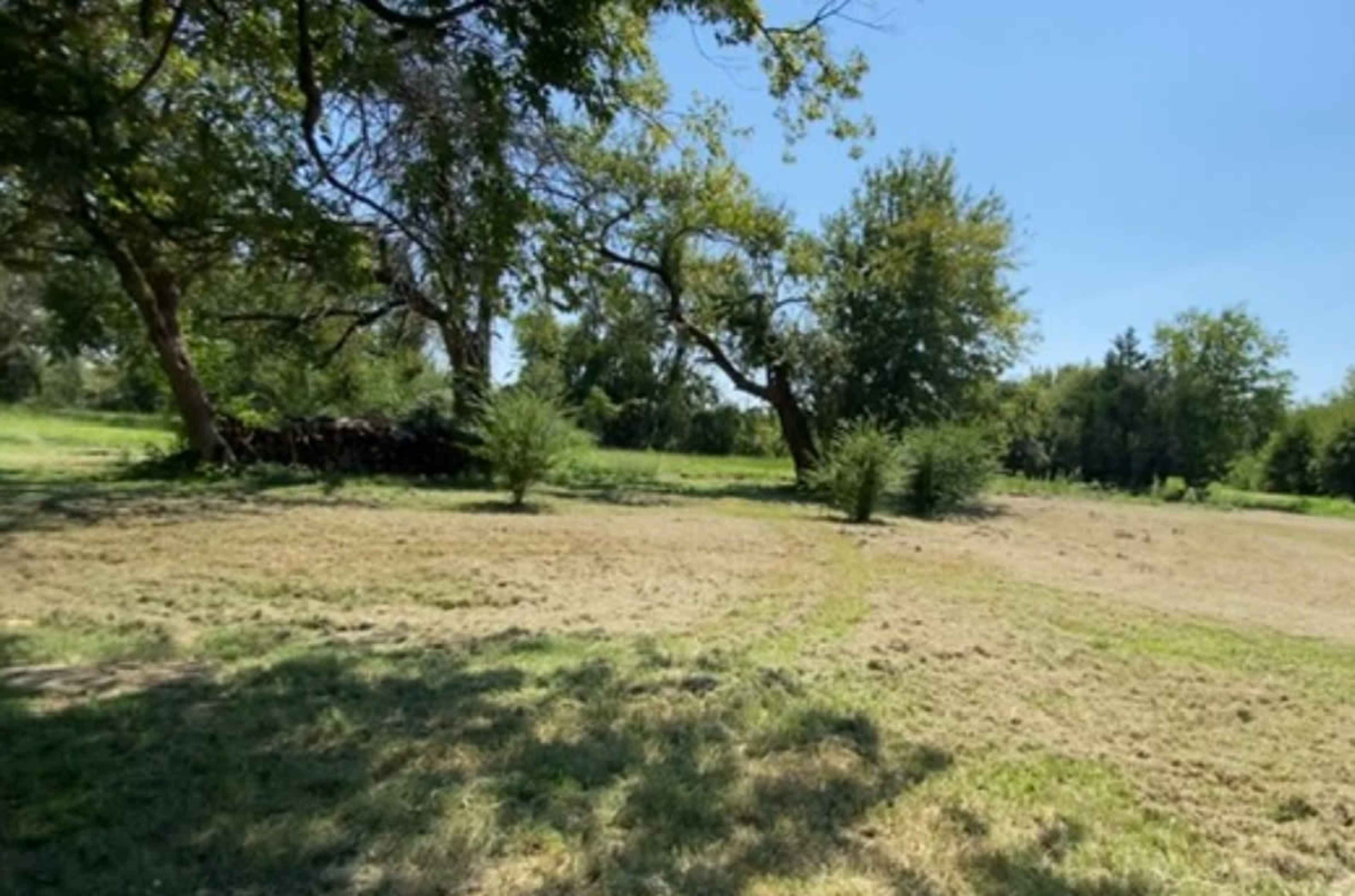 Rural Rustic Outdoors Image in , Terrell, TX