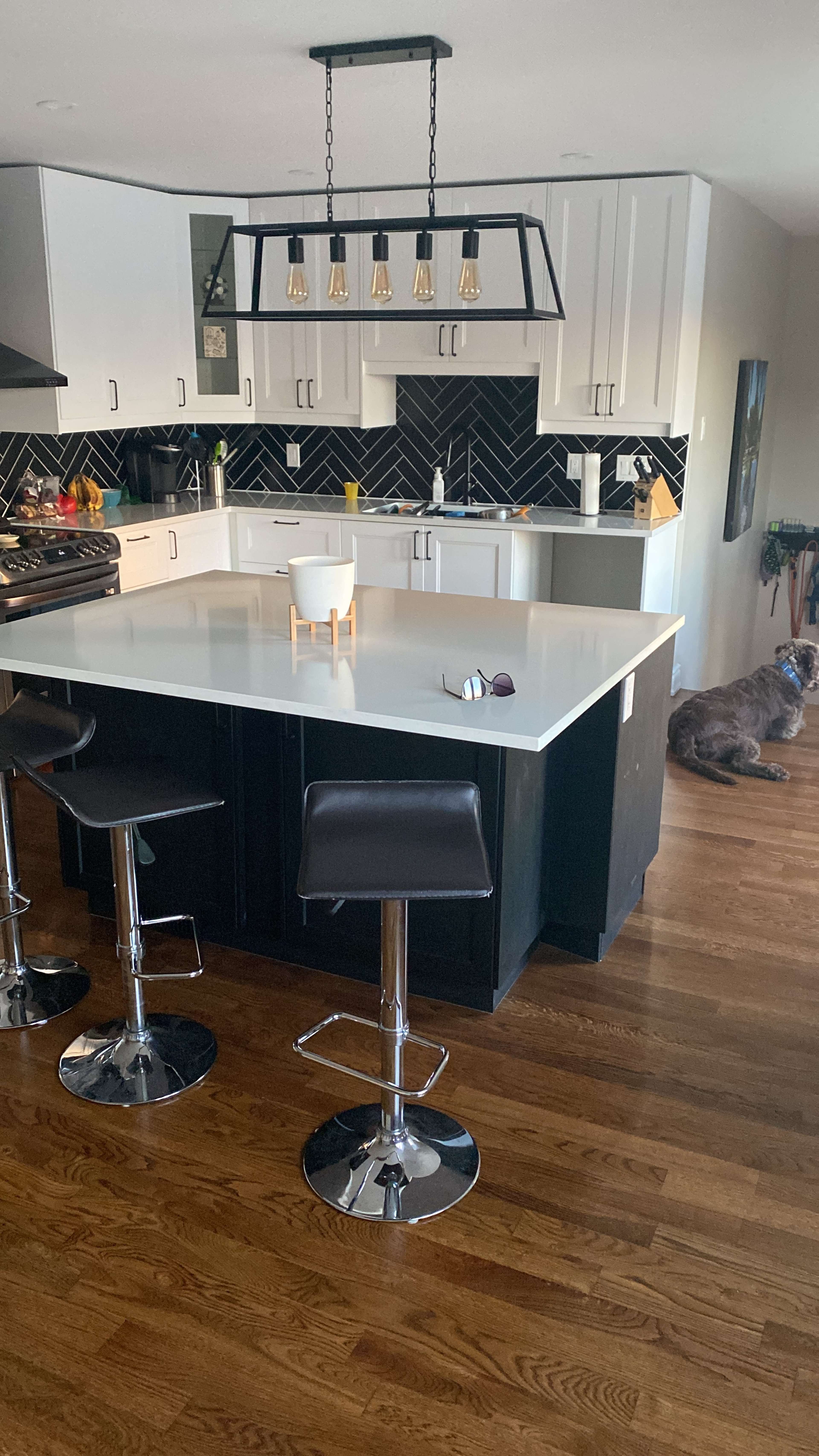 The image shows a modern kitchen with a large island, three chrome bar stools, and a gray dog resting on the hardwood floor.