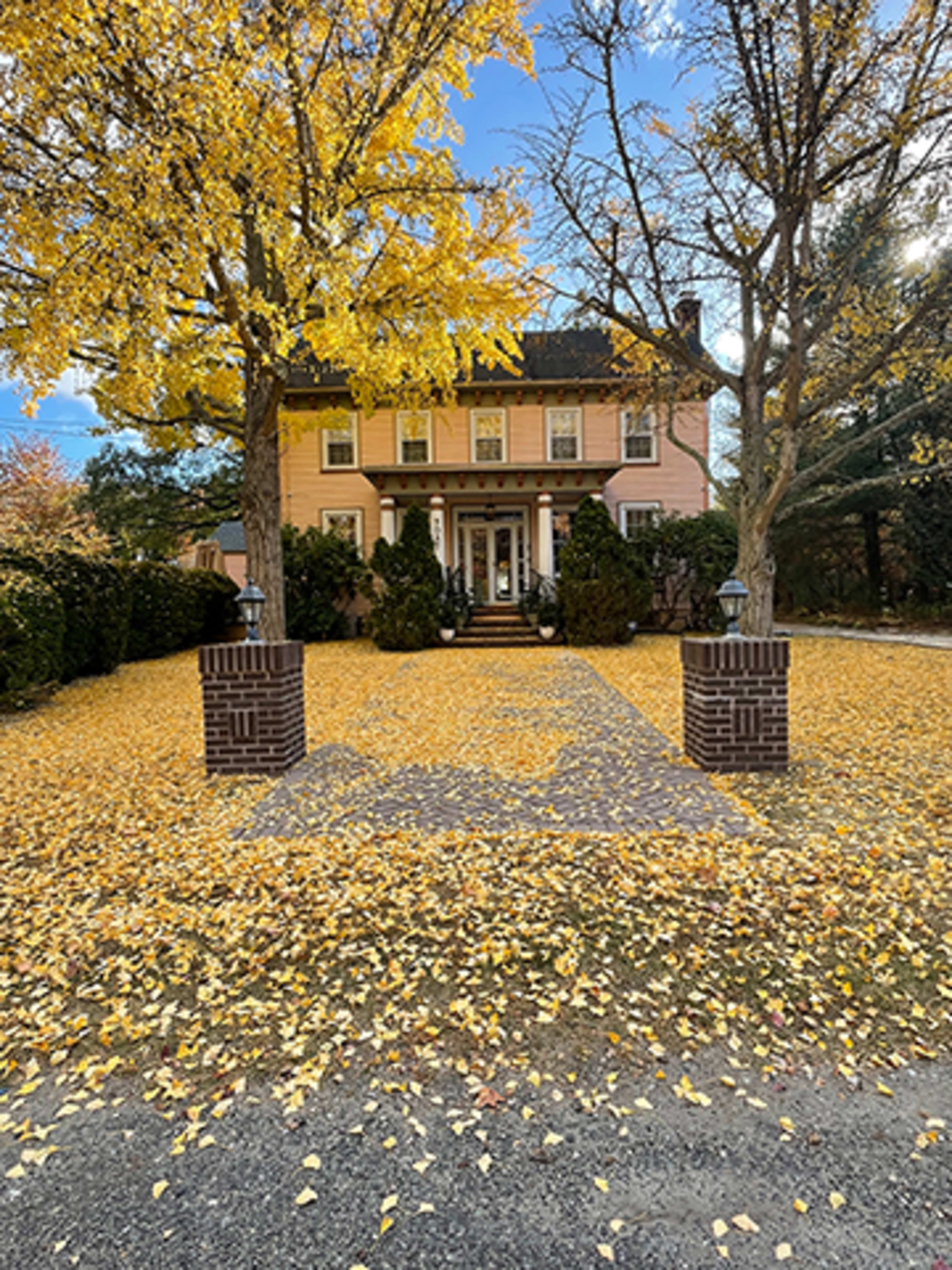 Charming and Whimsical Victorian Home & Property Image in Mauricetown, Mauricetown, NJ