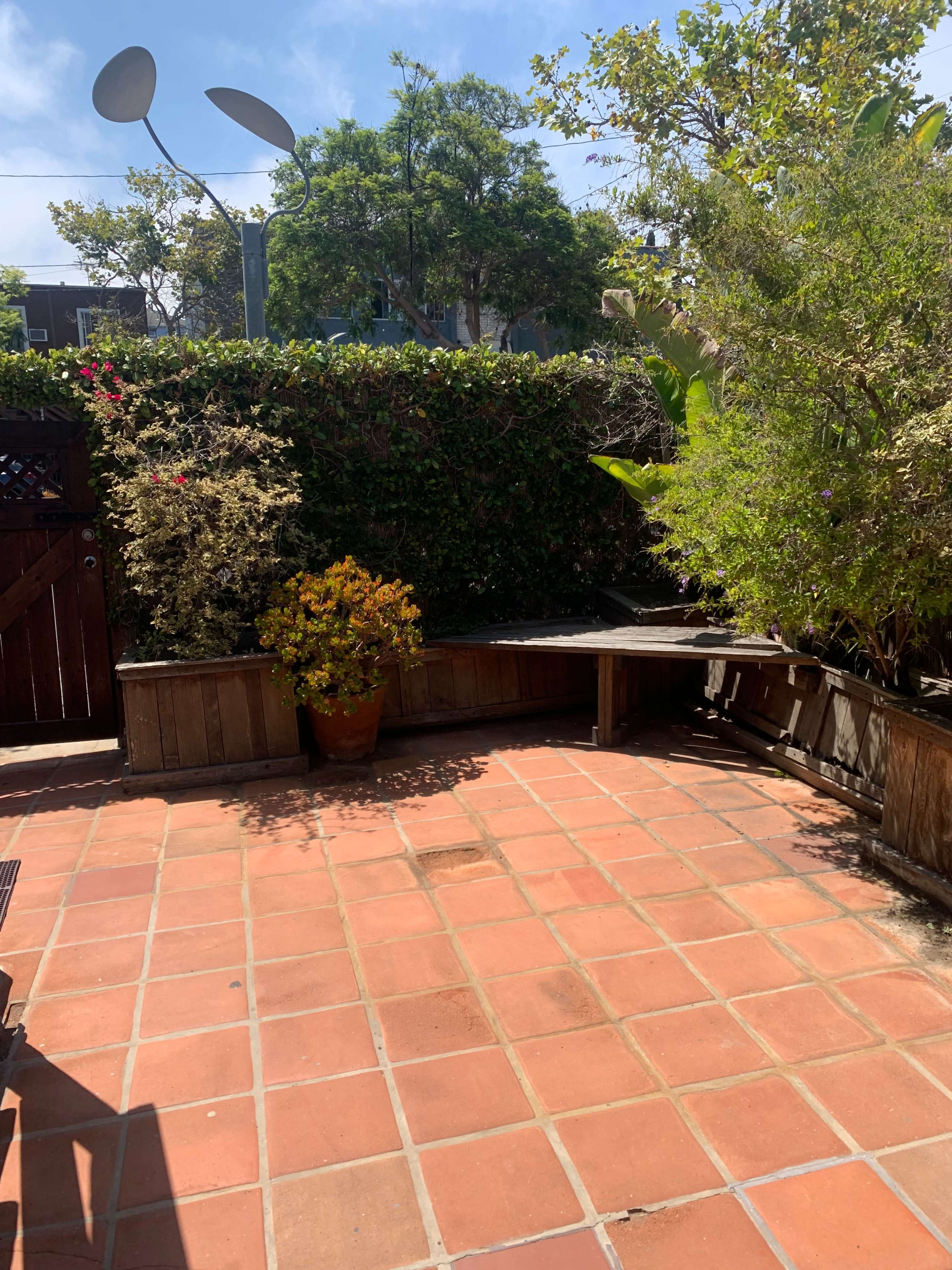A sunlit patio with terracotta tiles, surrounded by green foliage and potted plants.
