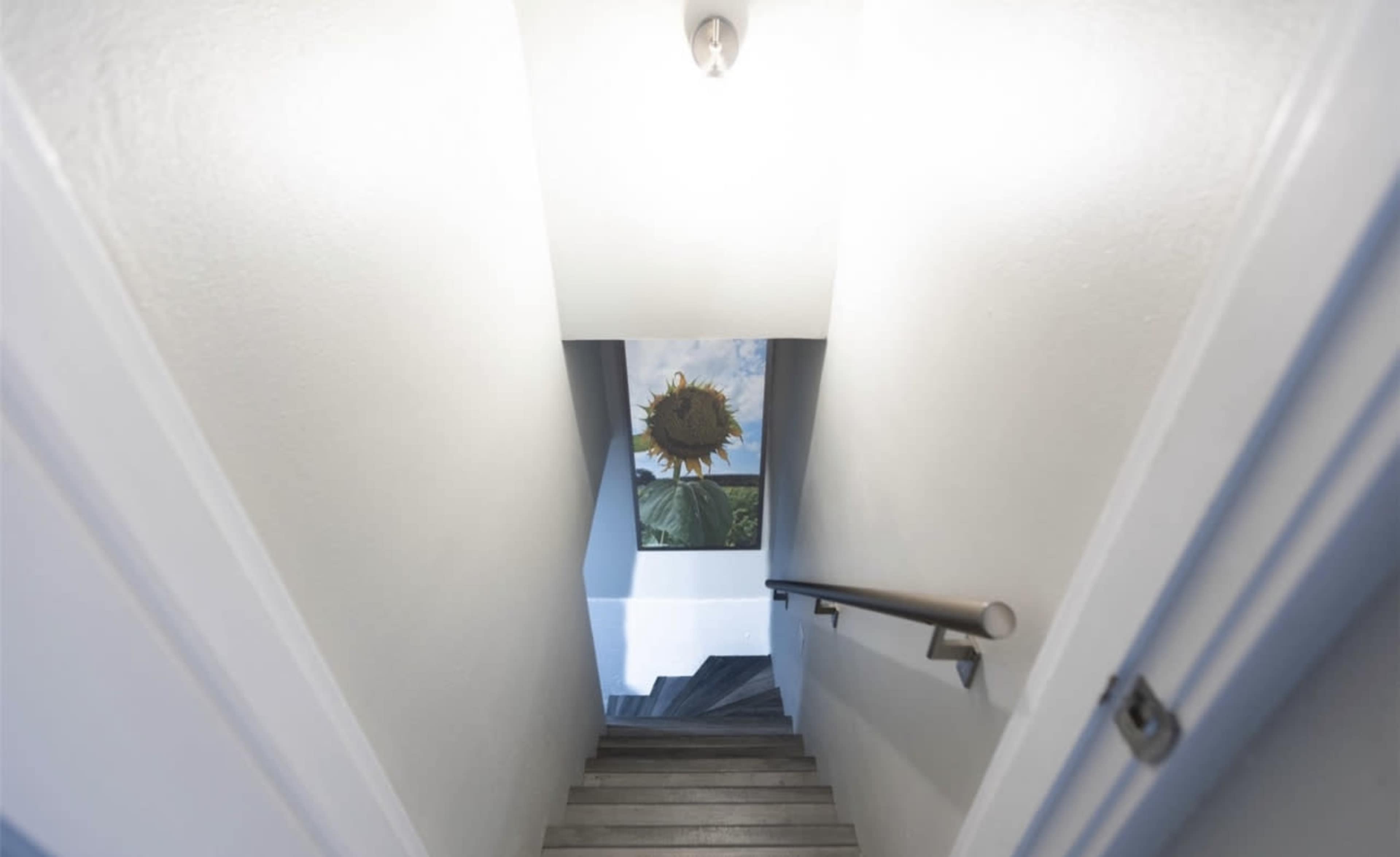 A staircase descends into a brightly lit area featuring a large sunflower painting on the wall.