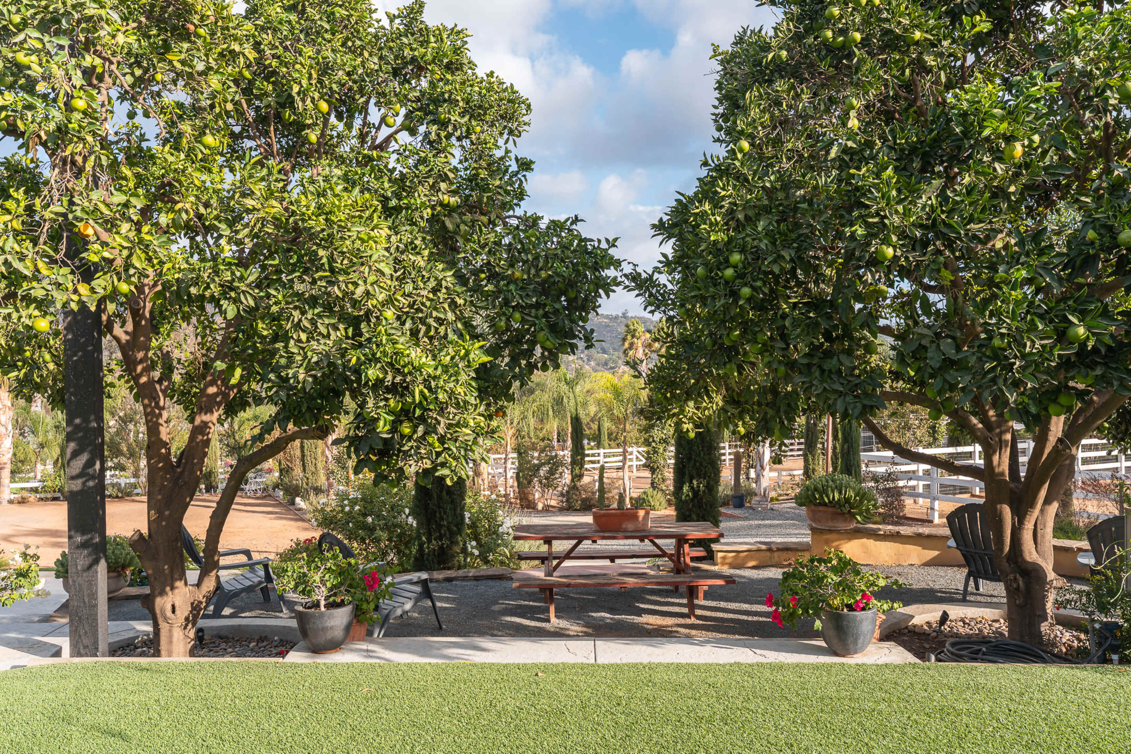 The image shows a shaded garden area with two large trees and a picnic table surrounded by potted plants and a gravel path.