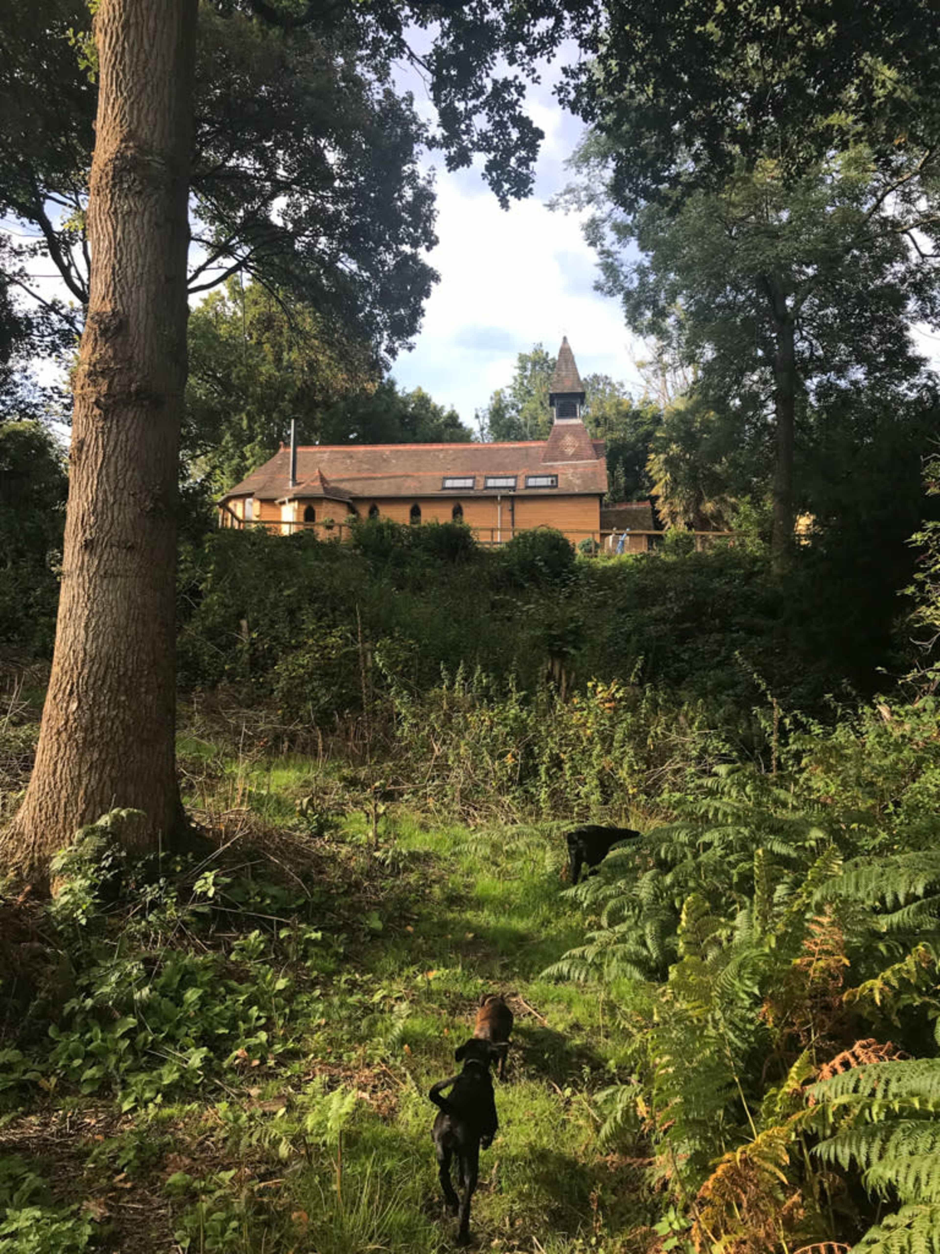 Converted Residential Chapel in Ancient Woodland Image in East Grinstead, East Grinstead, ENG