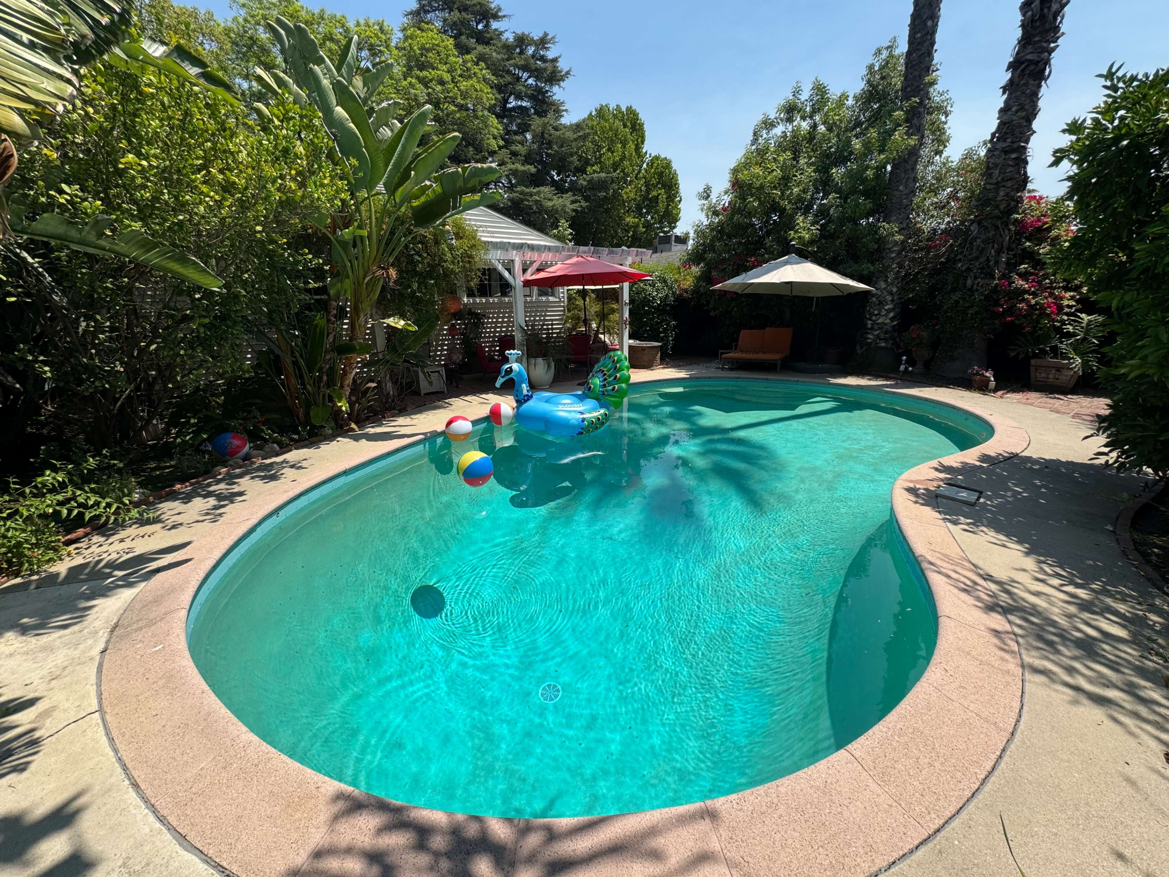The Classic Pool Oasis in the Valley Image in Sherman Oaks, Sherman oaks, CA