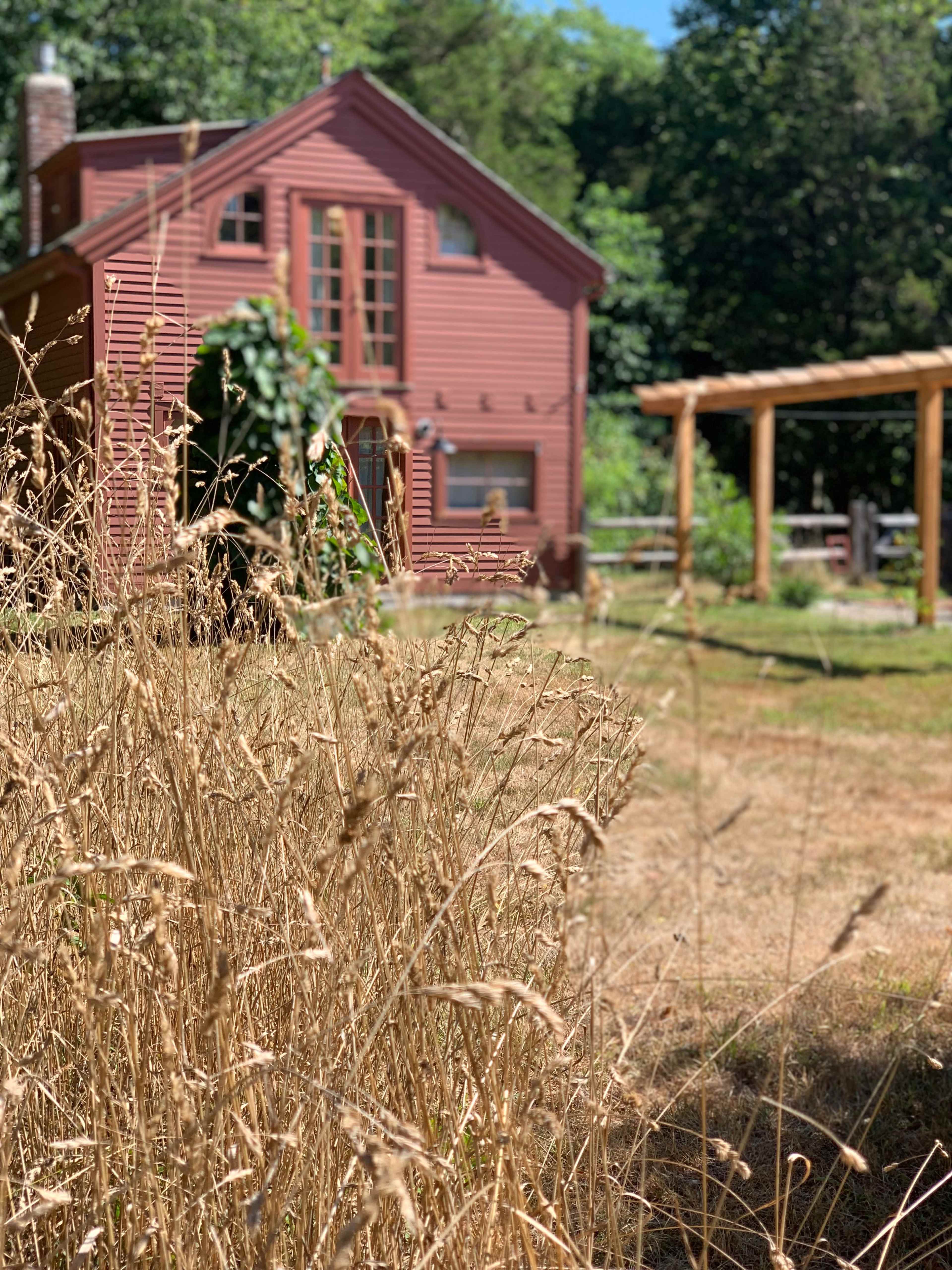 A rustic red house stands behind a field of dry grass, with a wooden pergola visible in the background.