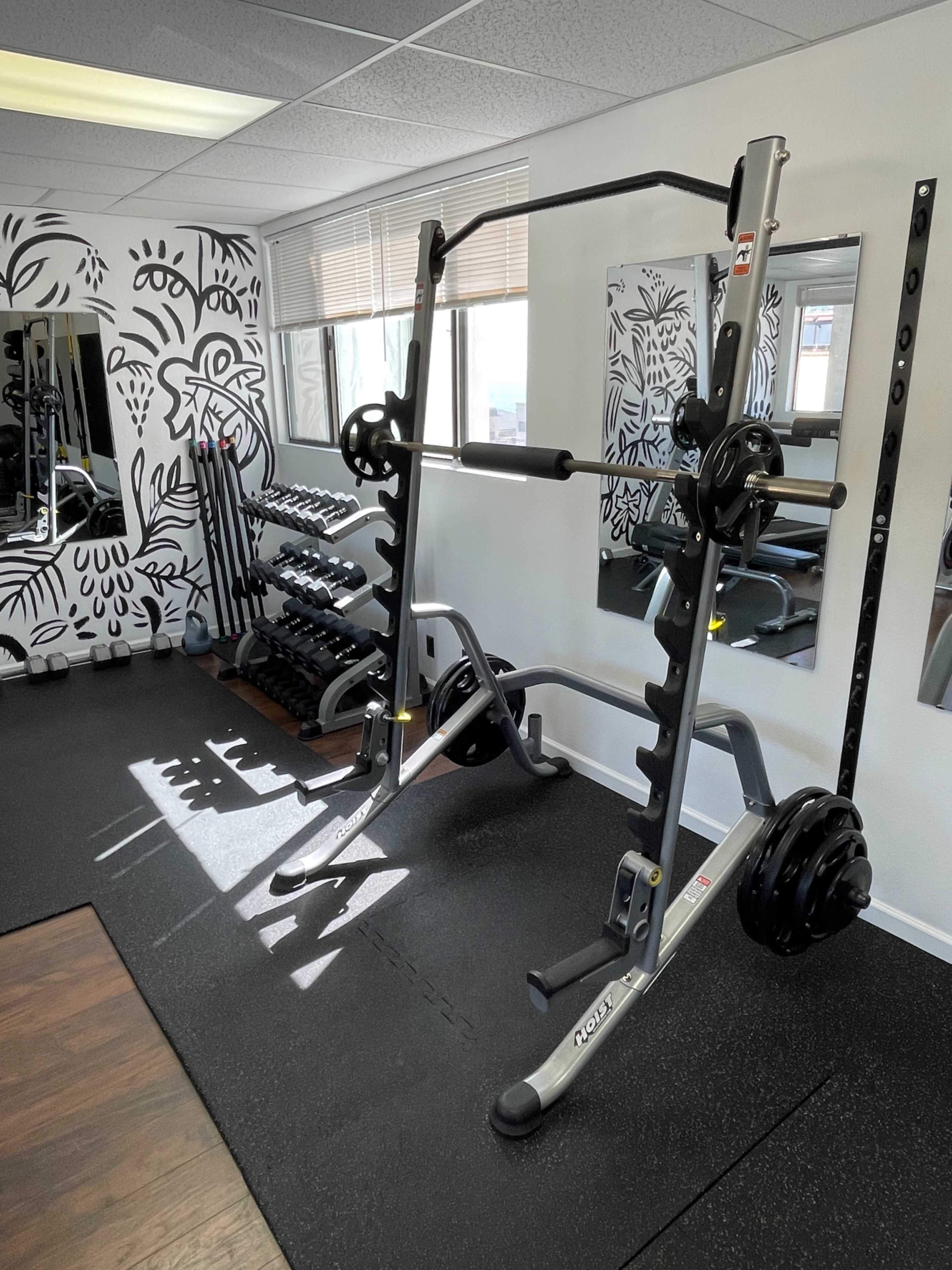 The image shows a gym interior with a squat rack, weight plates, and dumbbells against a decorative wall.