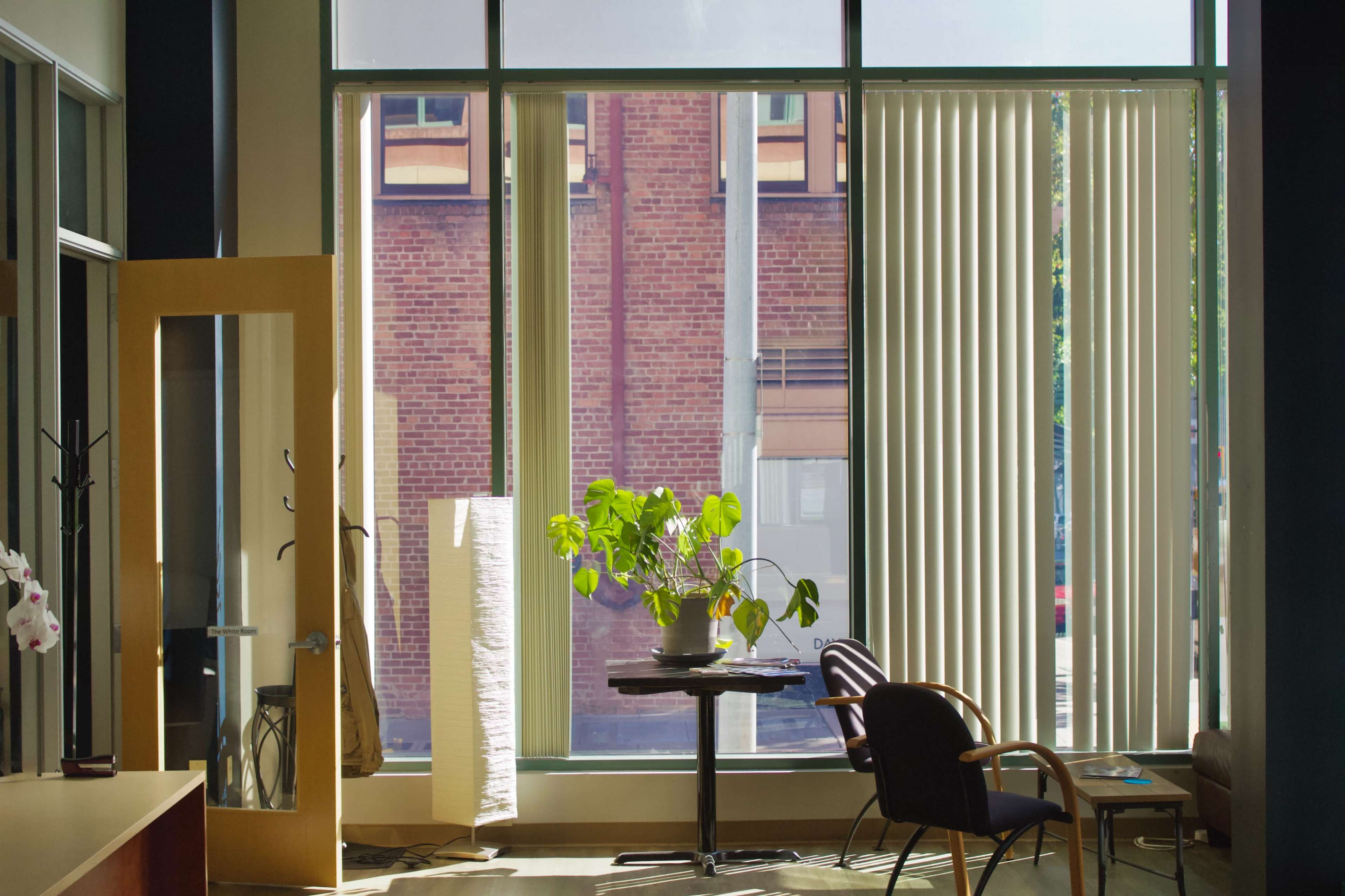 The image features a well-lit interior space with large windows, a potted plant on a table, and a chair beside it.