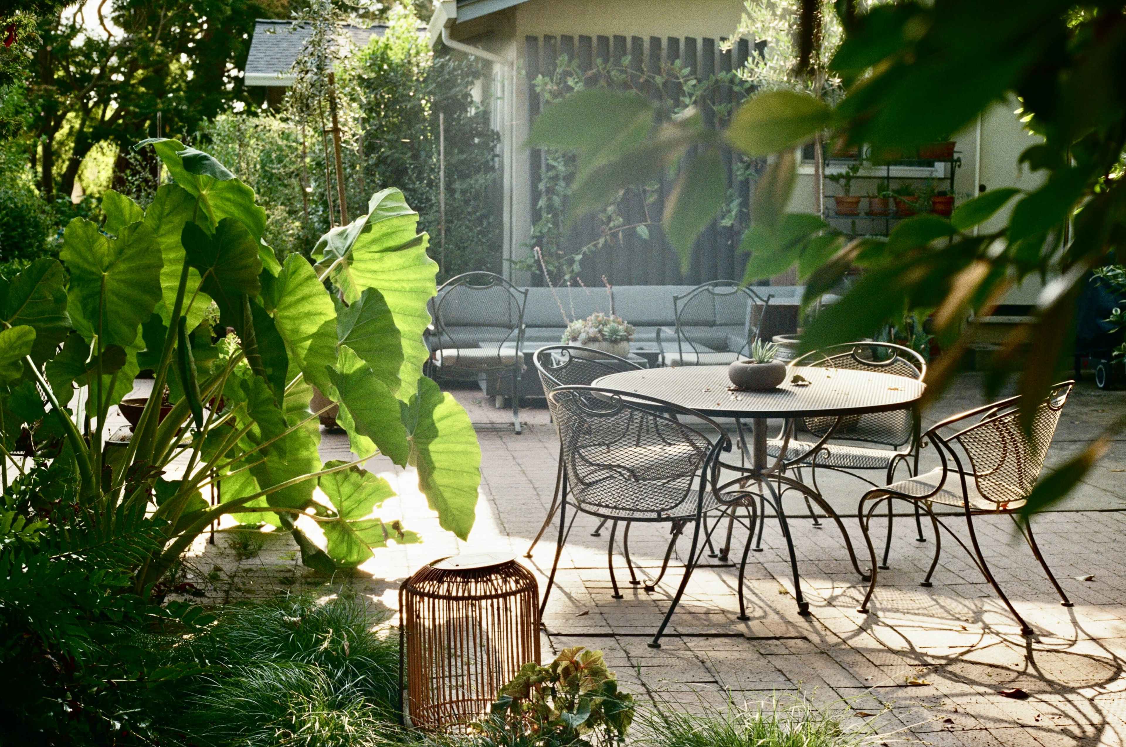 A round metal table is surrounded by chairs in a sunlit garden filled with large green leaves and a small lantern.