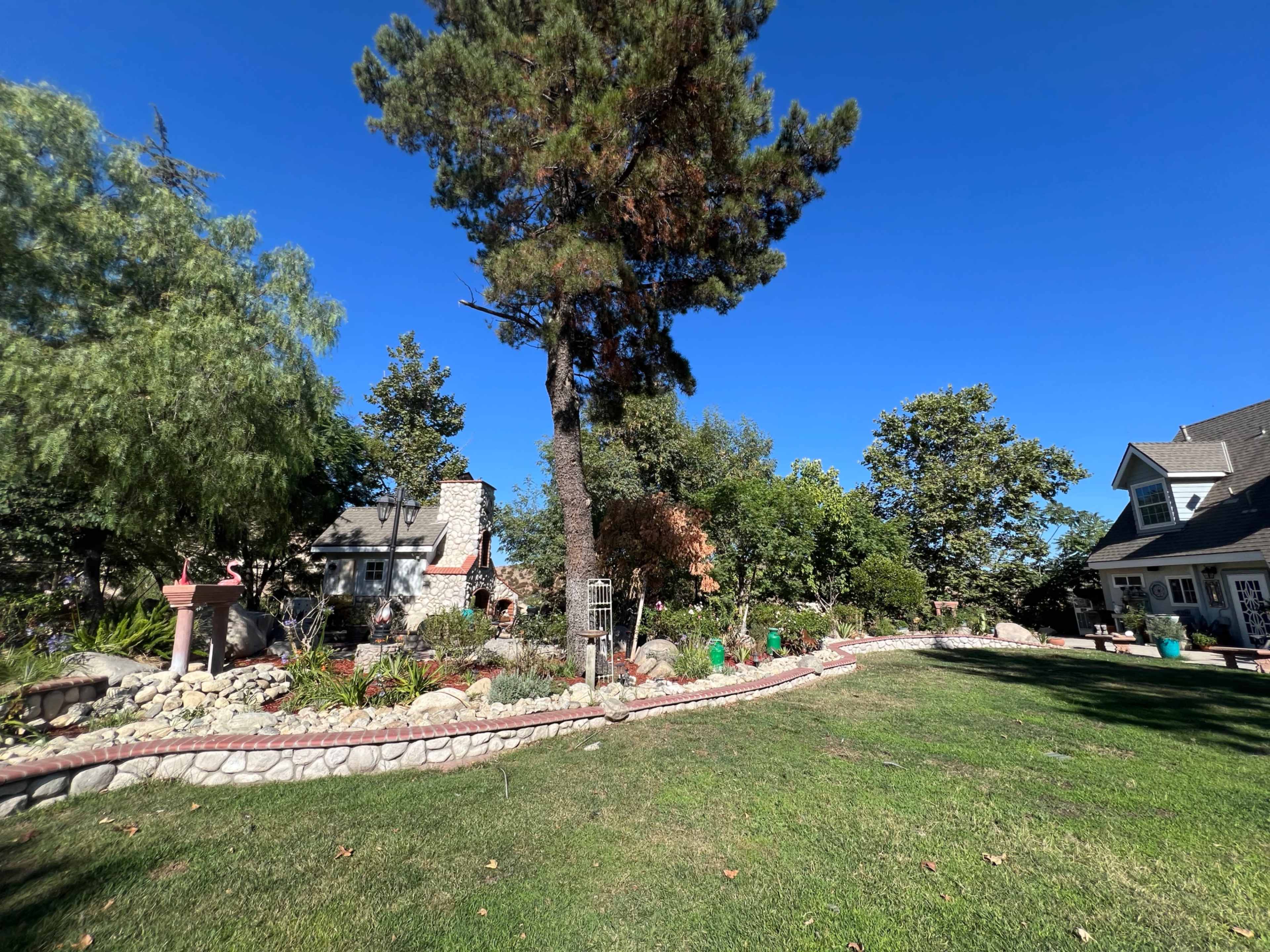 The scene features a landscaped garden with a stone pathway, a large tree, and a house visible in the background under a clear blue sky.