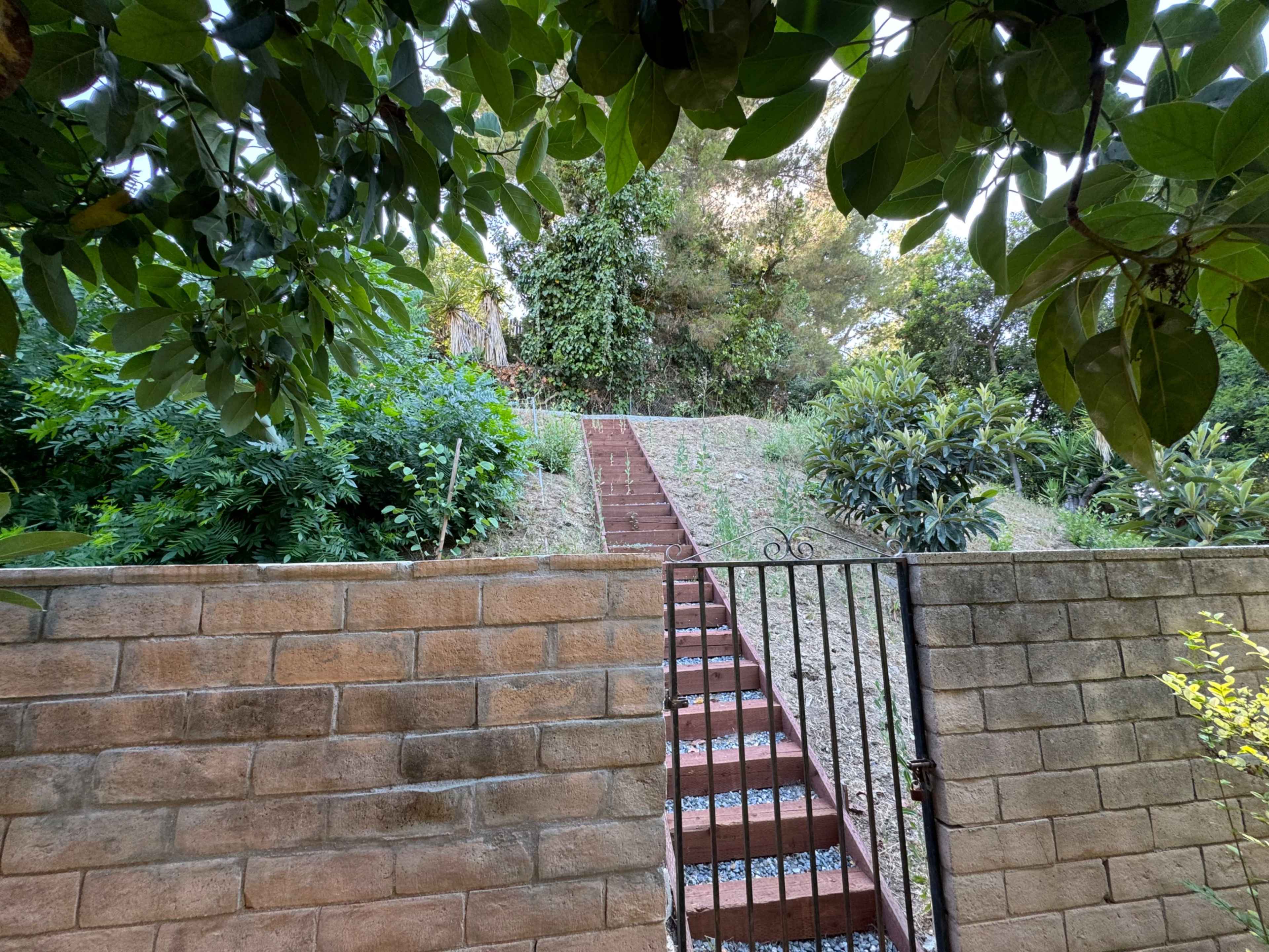 A set of stairs leads up a grassy incline, framed by a stone wall and lush greenery on either side.