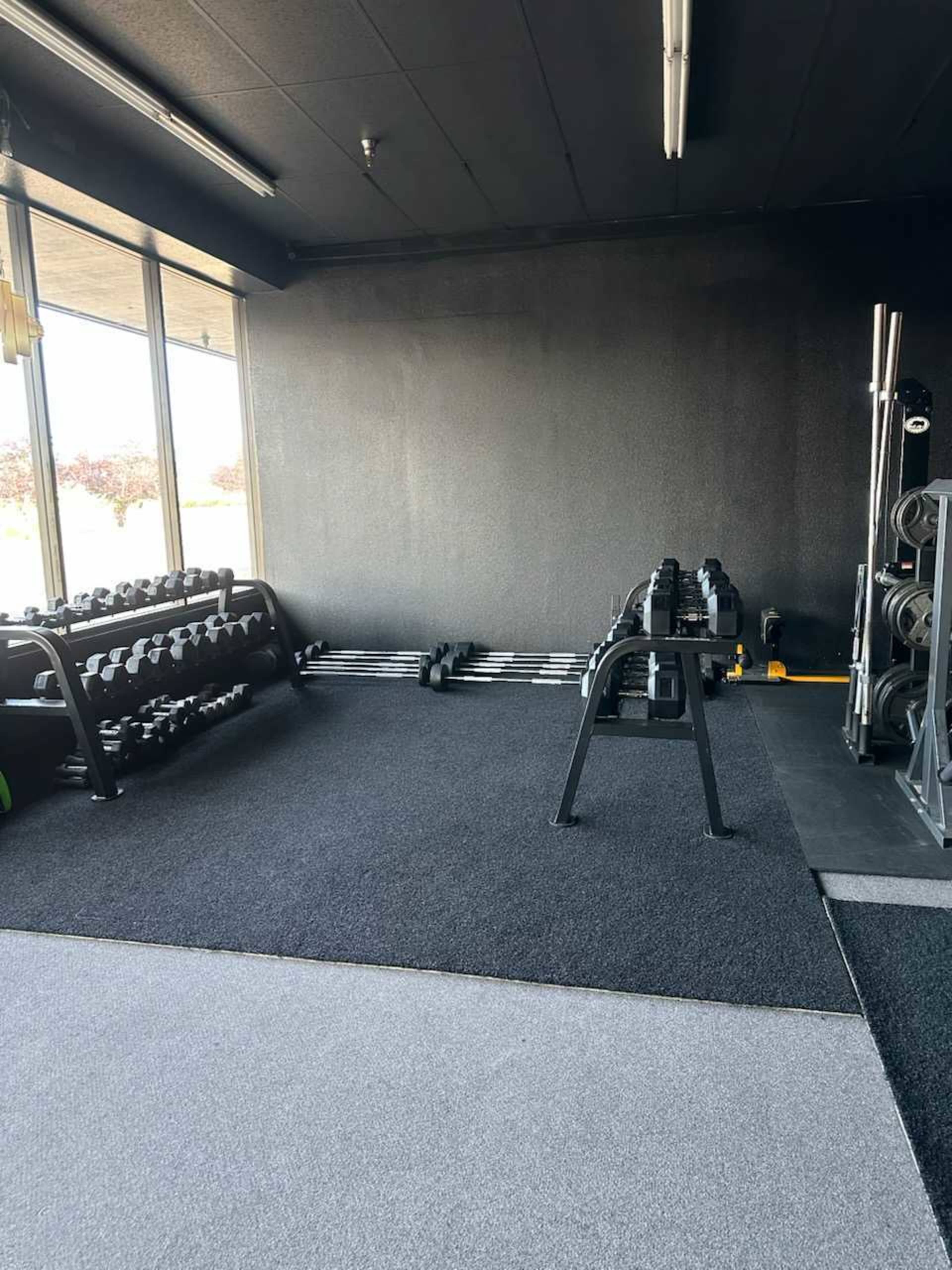 The image shows an empty gym space with a black wall, a set of dumbbells on racks, a weight bench, and various workout equipment on a black and gray carpeted floor.