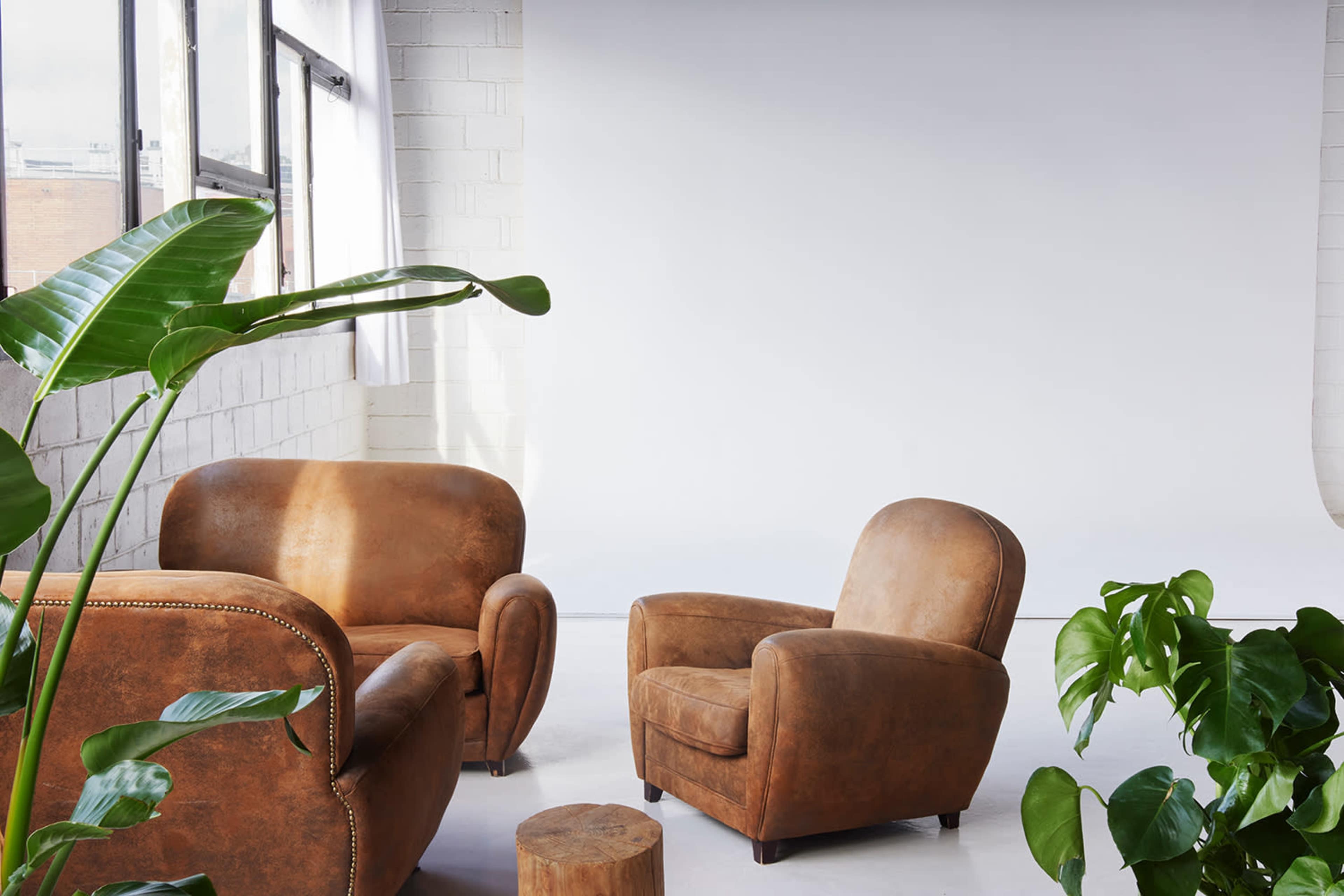 A studio interior features two brown leather chairs, a small wooden stool, and large green plants against a backdrop of light-colored walls and a blank white background.