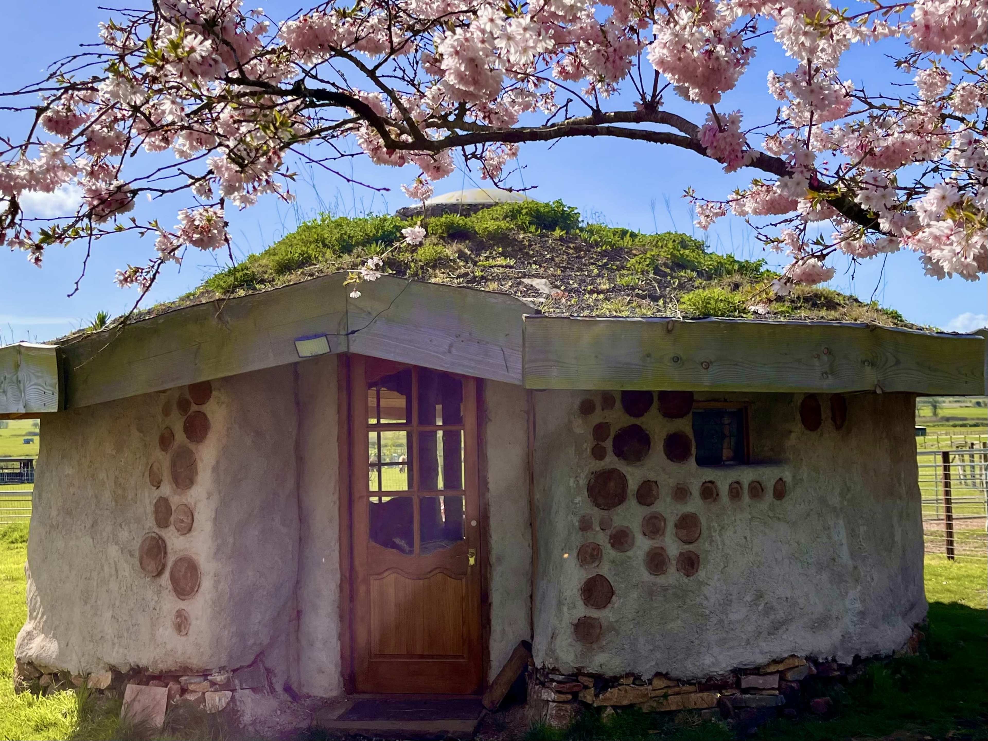 Roundhouse on alpaca farm Image in Tickenham, Tickenham, ENG
