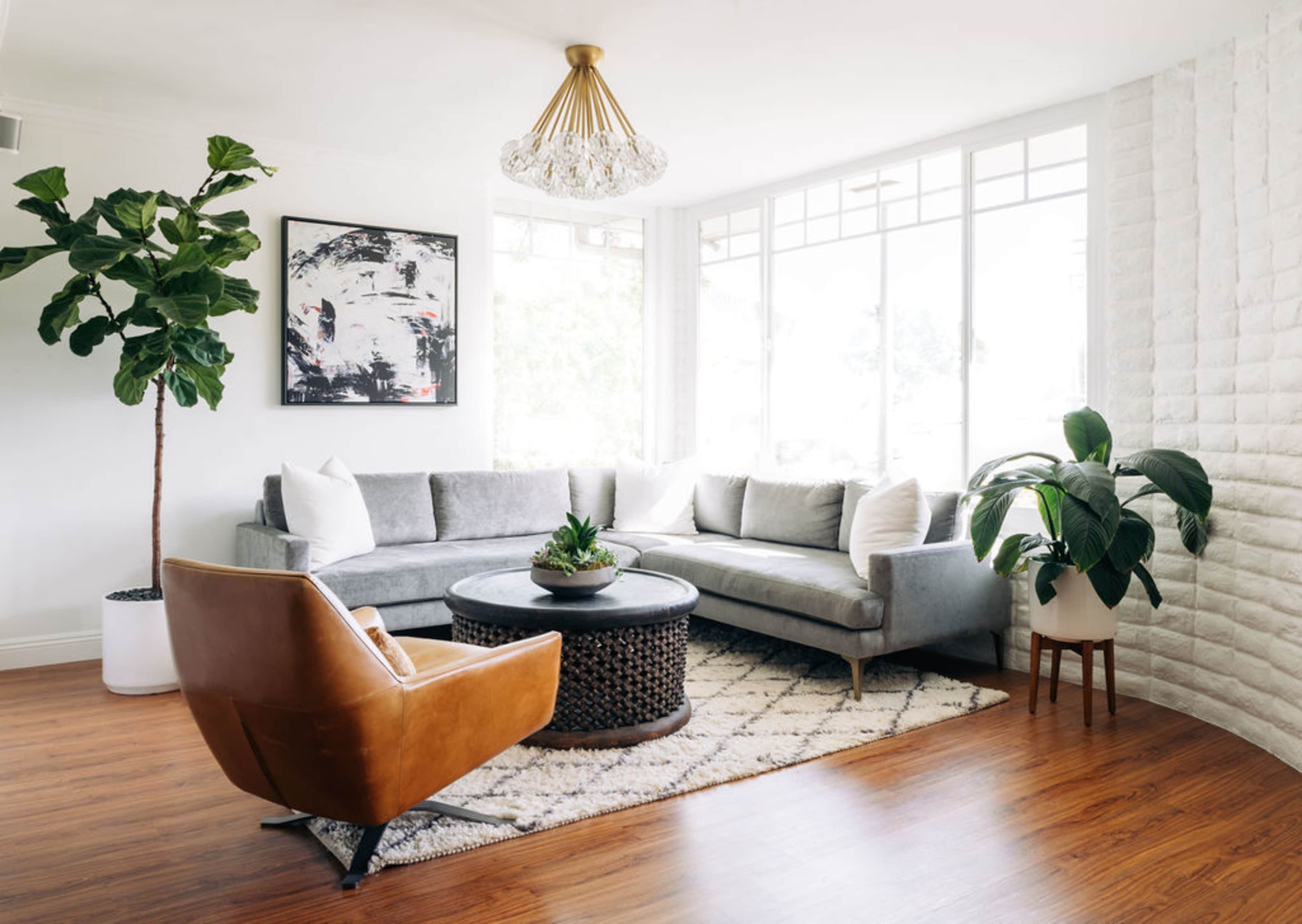 A contemporary living room features a gray sectional sofa, a round coffee table, a large plant, and ample natural light from a wall of windows.