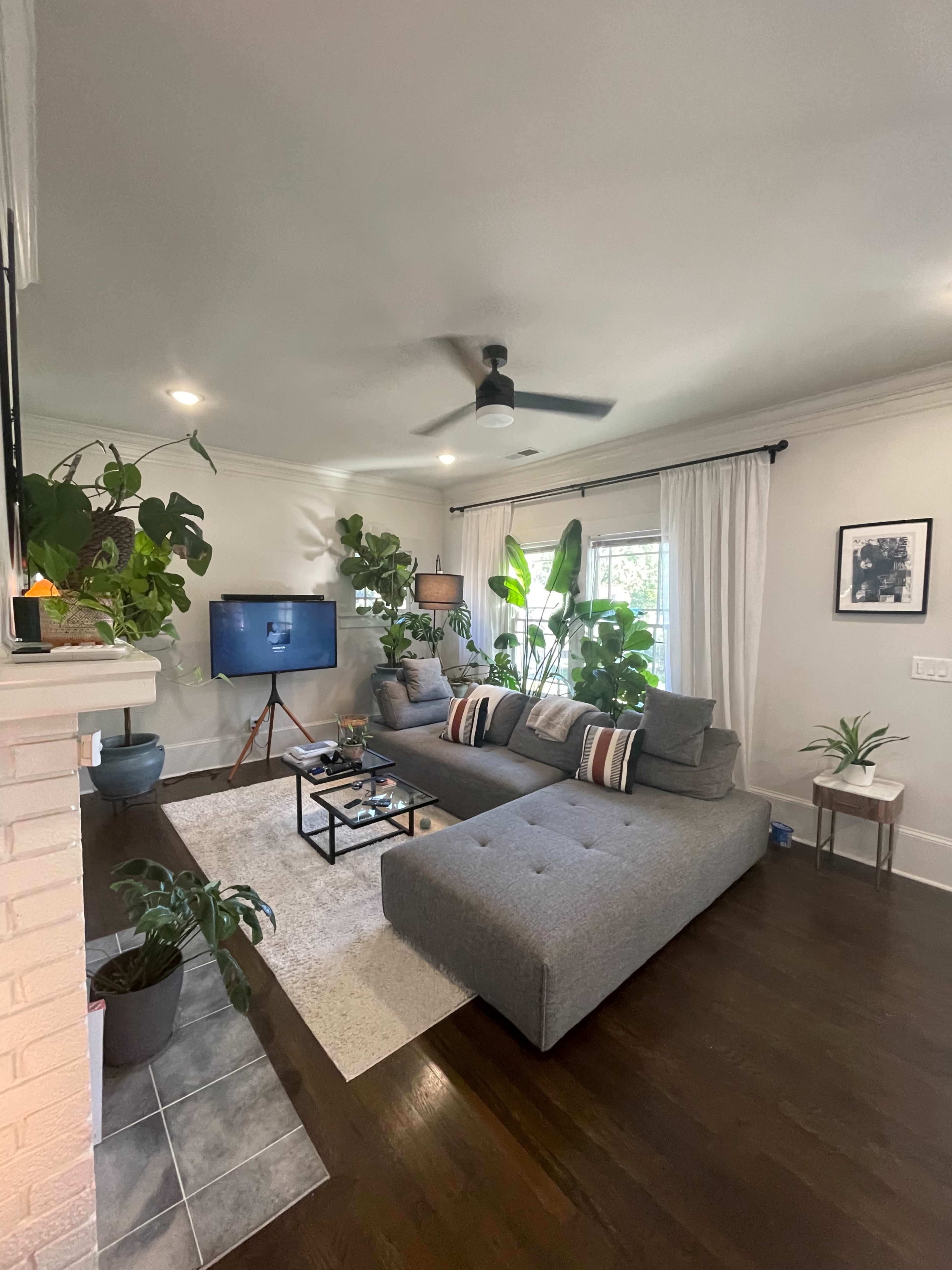 The living room features a gray sectional sofa, a coffee table, potted plants, a television, and large windows with white curtains.