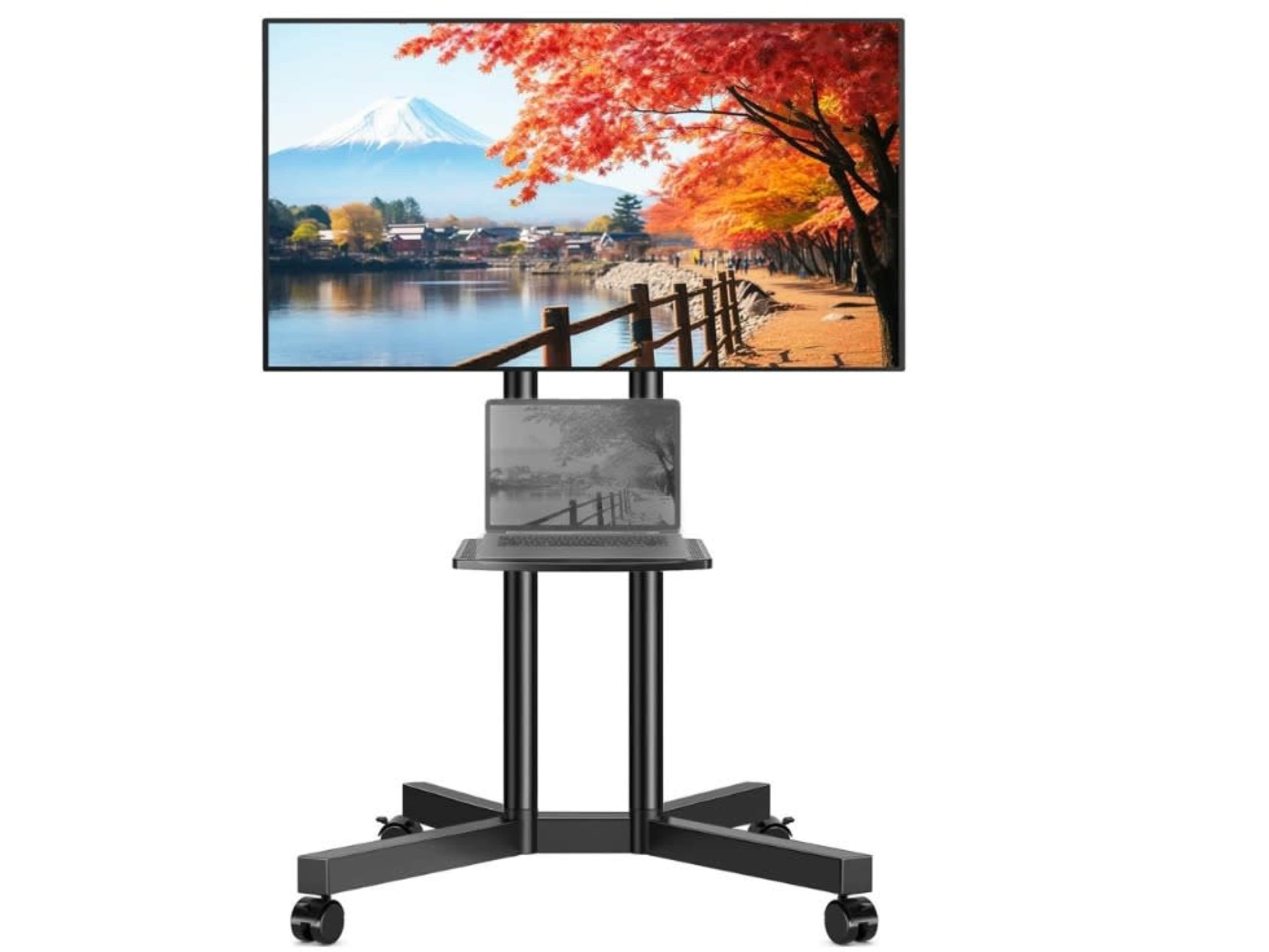 55" 4K TV on Rolling stand 