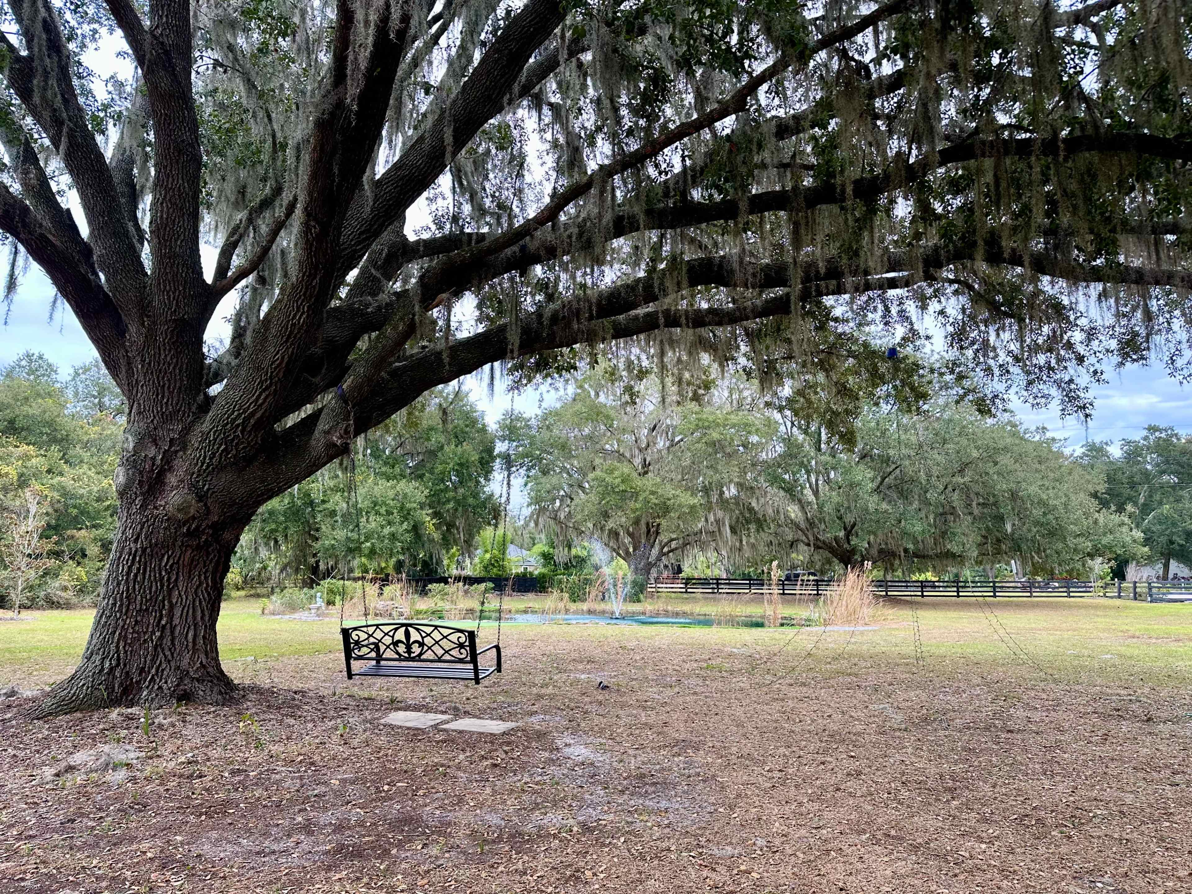 4.5 Acres of Outdoor Rural Space With Large Oak Trees and View of Water Image in , MOUNT DORA, FL