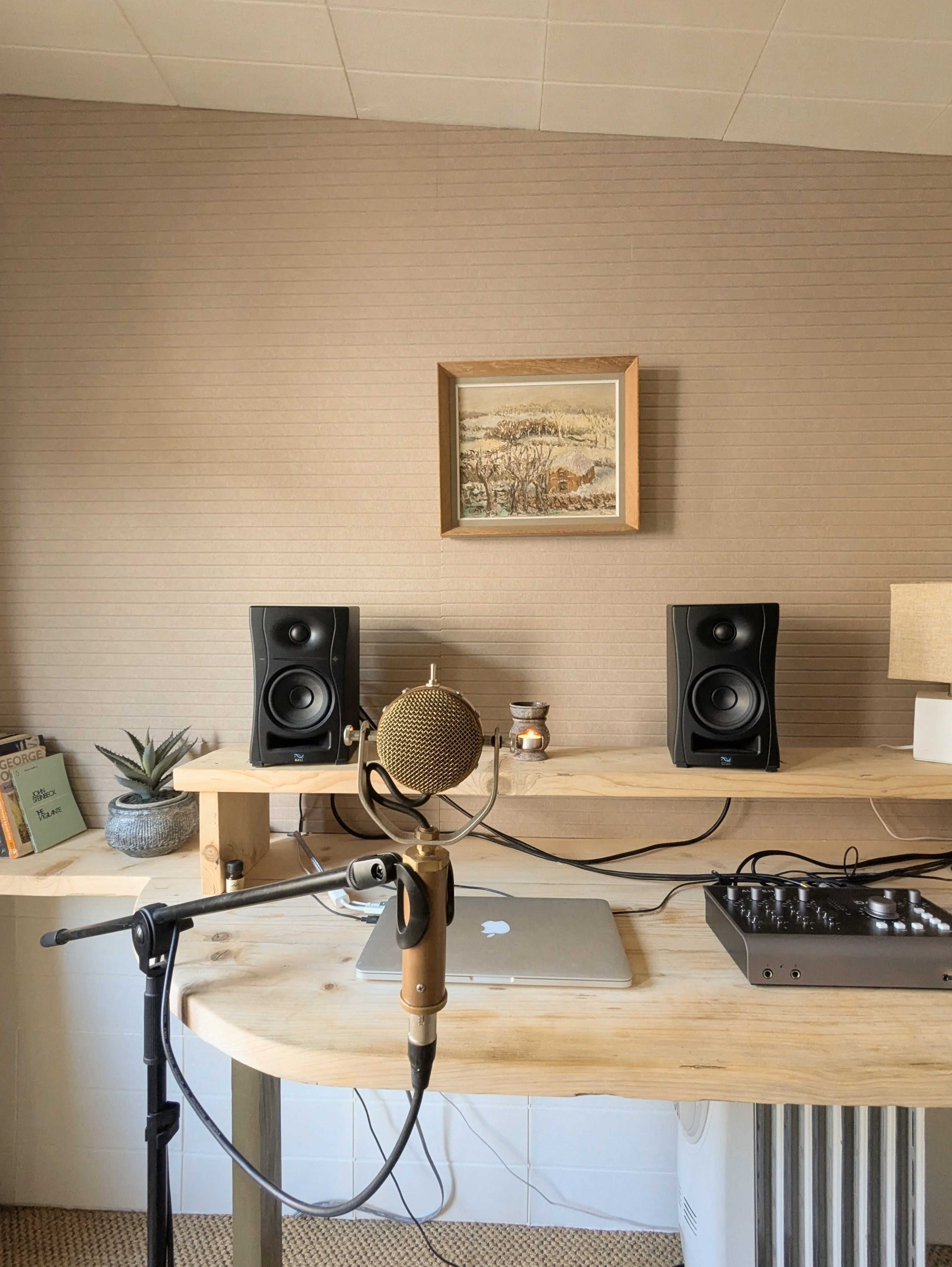 Cozy Garden Recording Studio for Acoustic Music & Voicover Image in Greenbank, Bristol, ENG