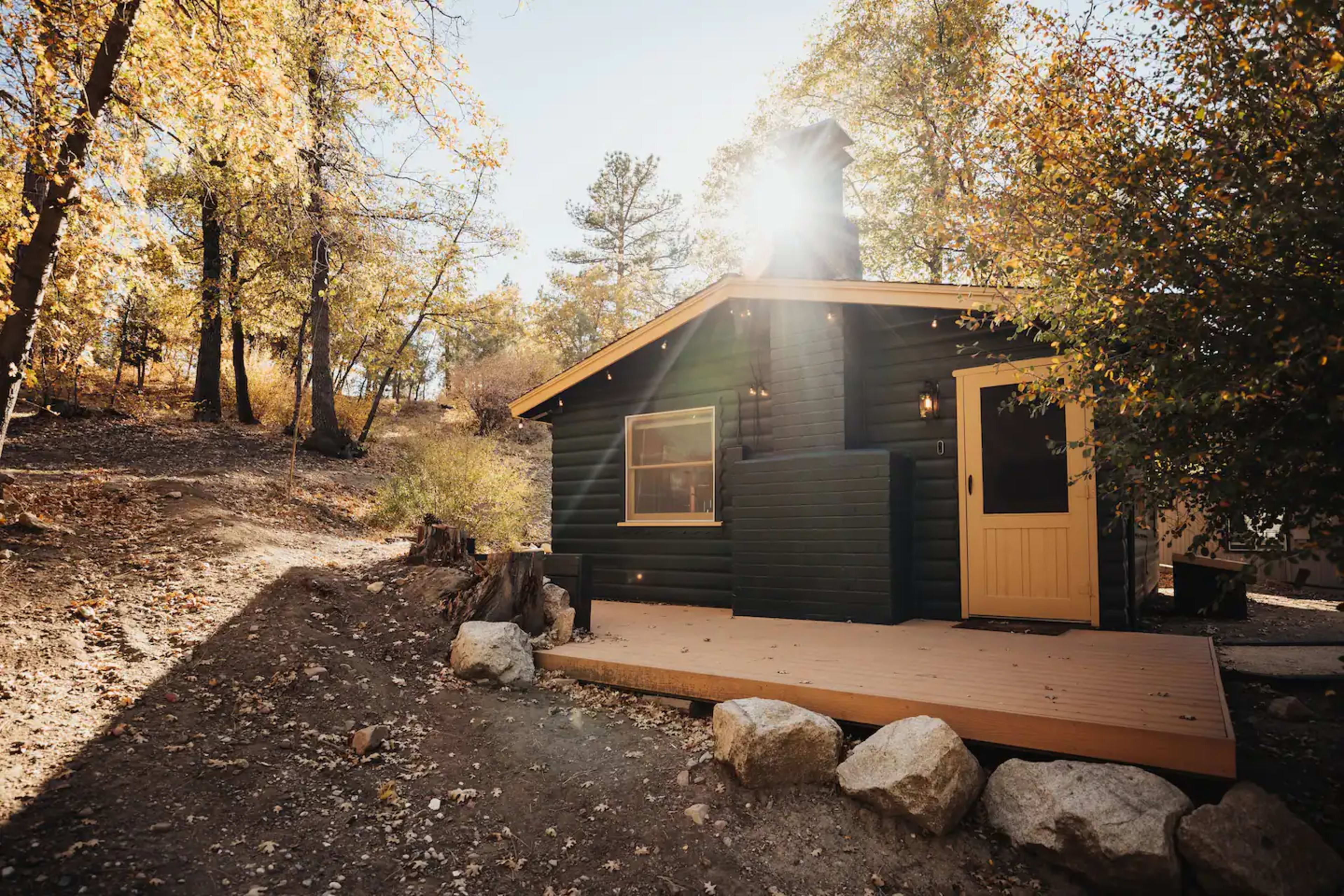 A small, dark green cabin with a yellow door sits surrounded by trees and autumn foliage, with sunlight filtering through the branches.